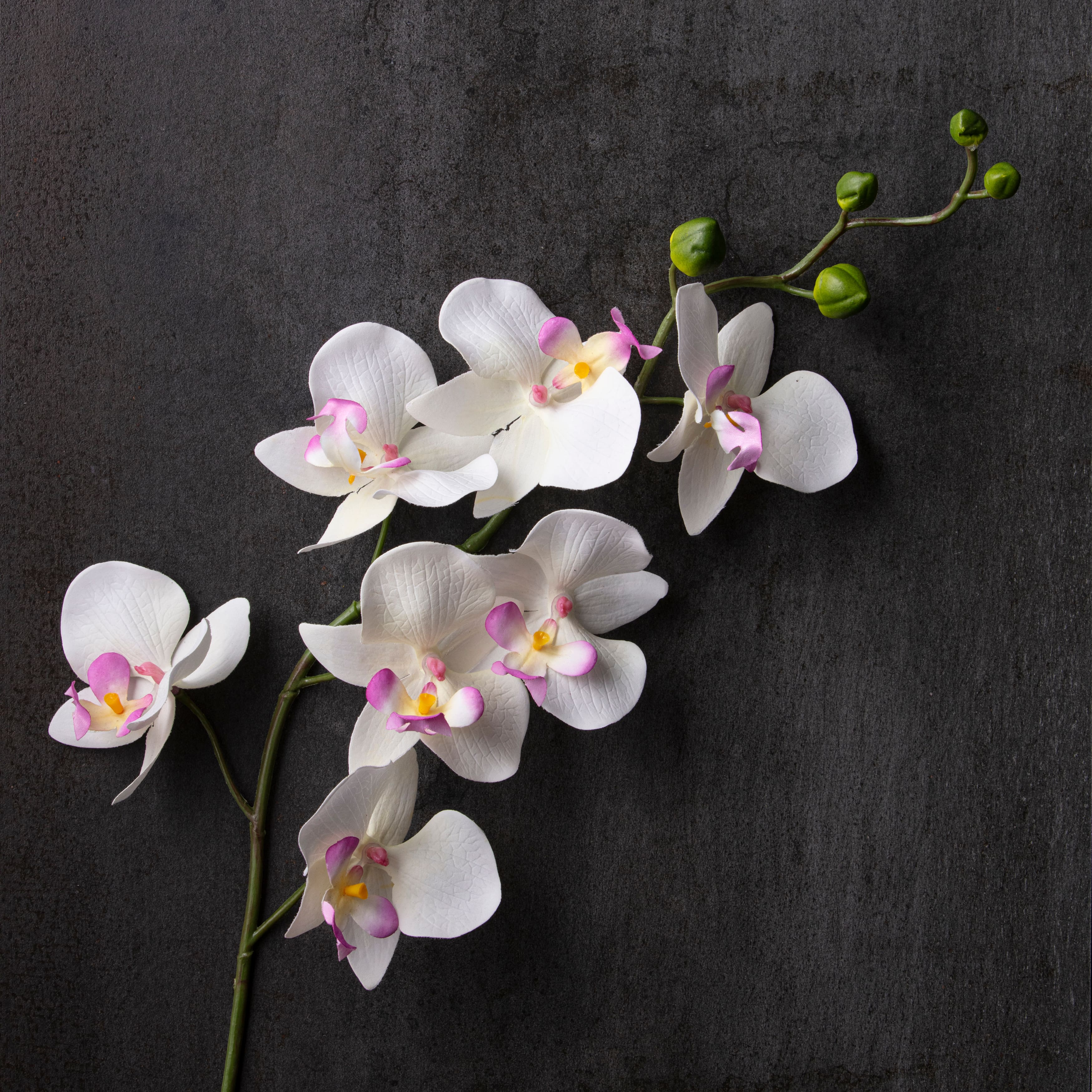 Orchid Spray by Ashland