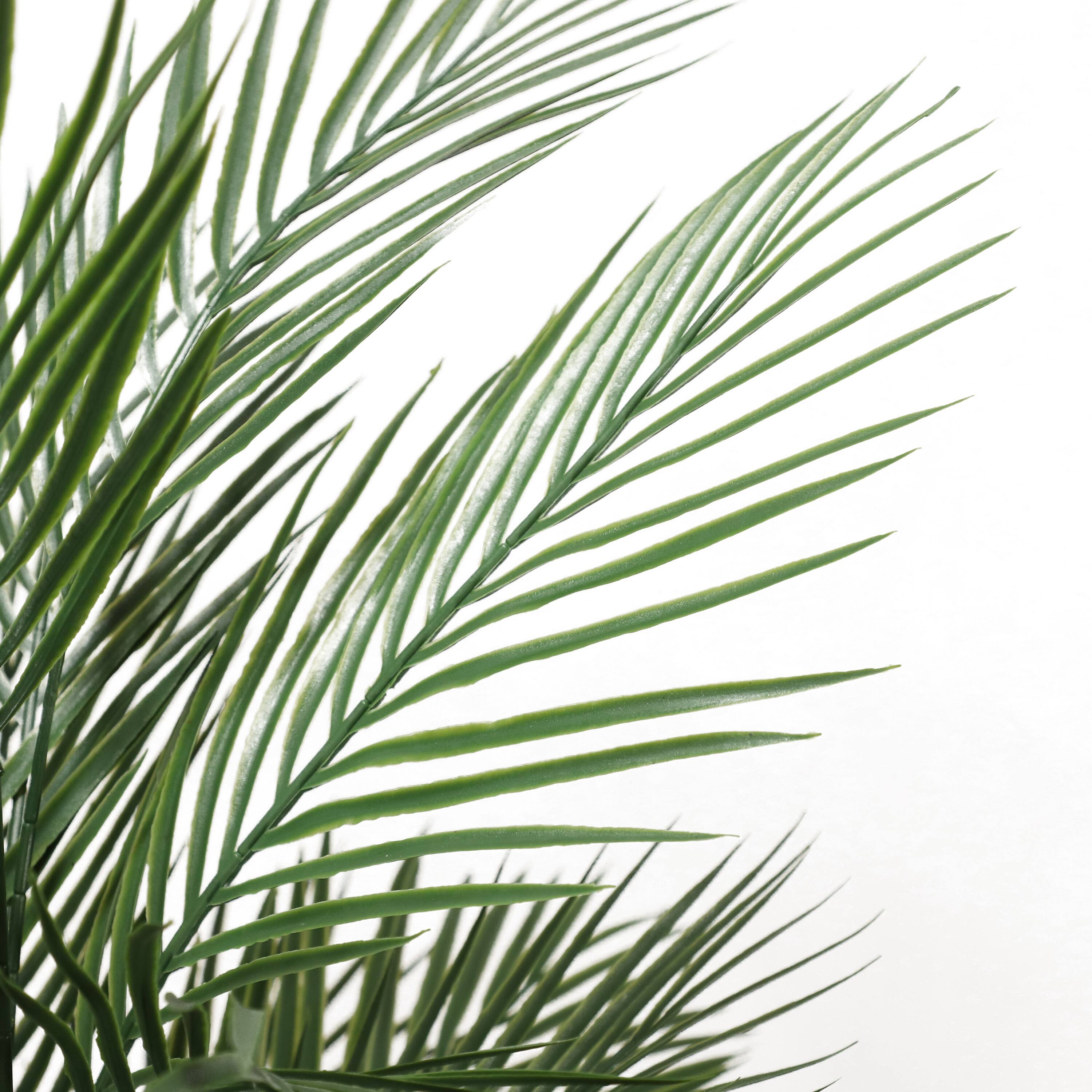 6 Pack: 5.5ft. Potted Areca Palm Tree