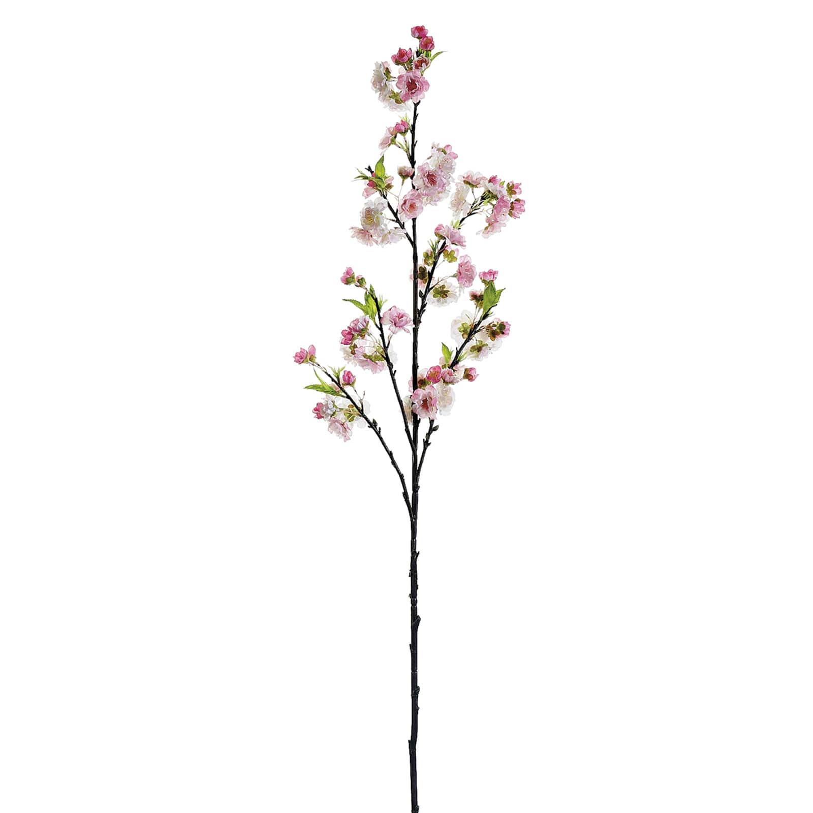 Pink Cherry Blossom Stem
