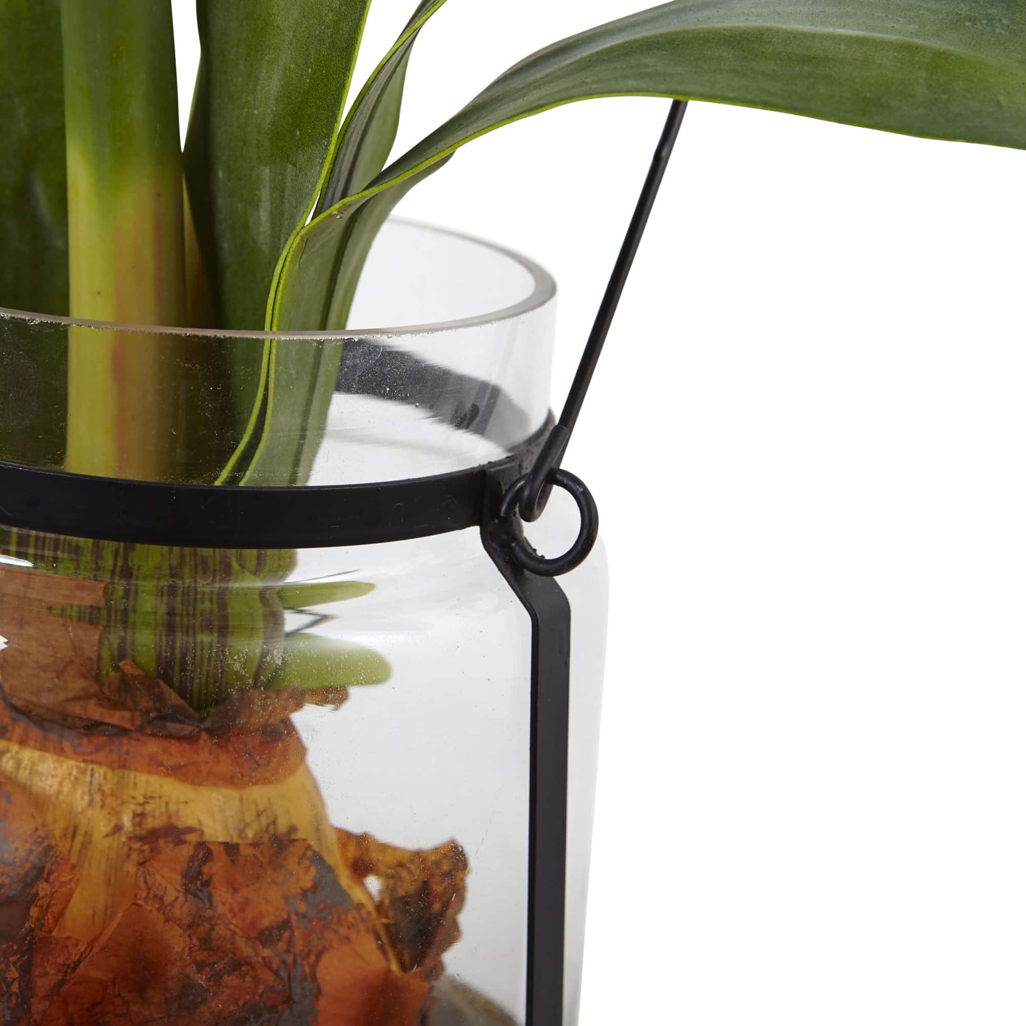 24" Red Amaryllis in Glass Vase