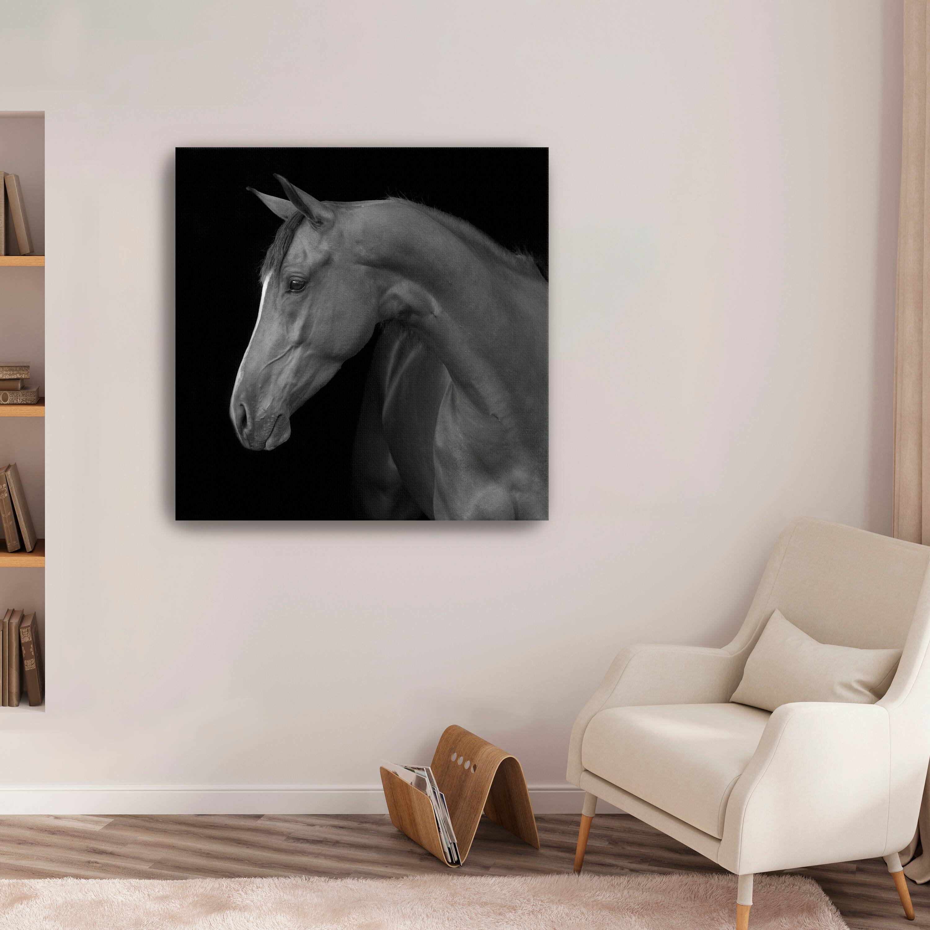 Lumaprints Jack Giclée Canvas