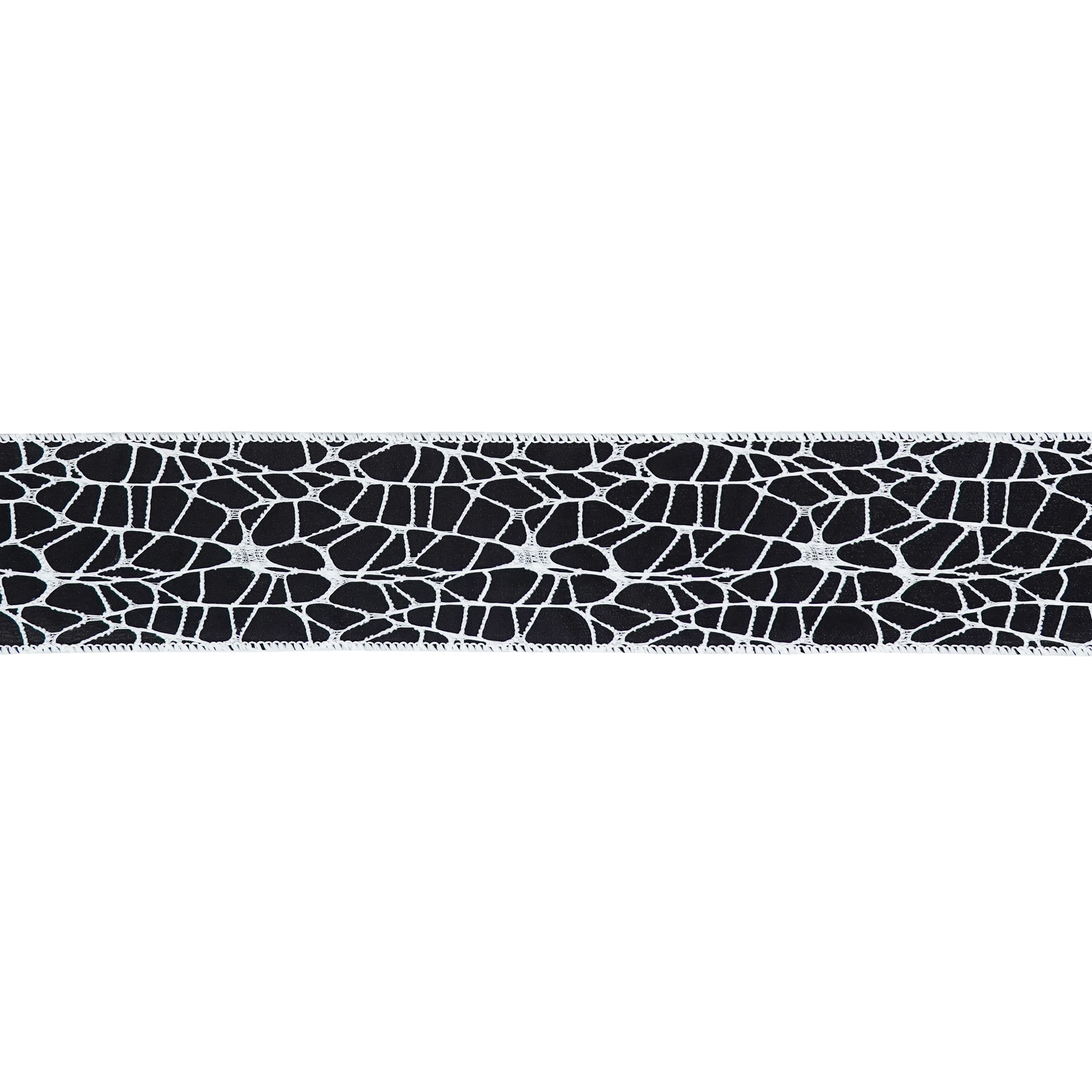 2.5" x 6.6yd. Black & White Spiderweb Wired Taffeta Ribbon by Celebrate It®