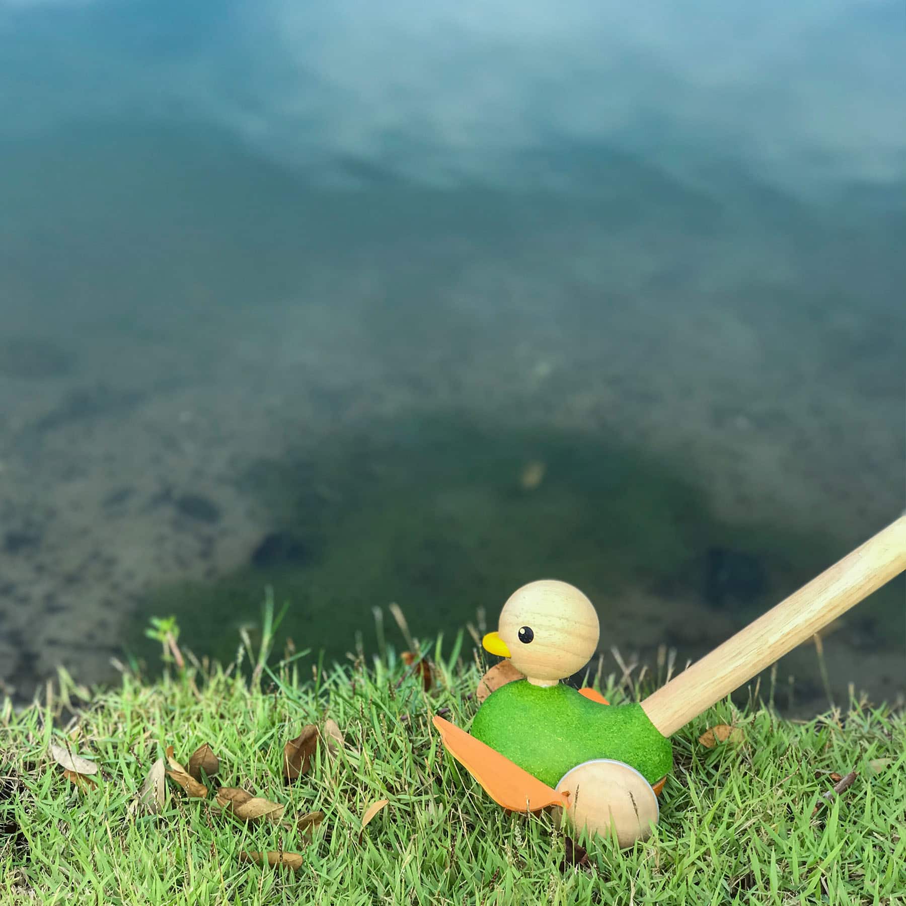 PlanToys 21.5" Push Along Duck Wooden Toy