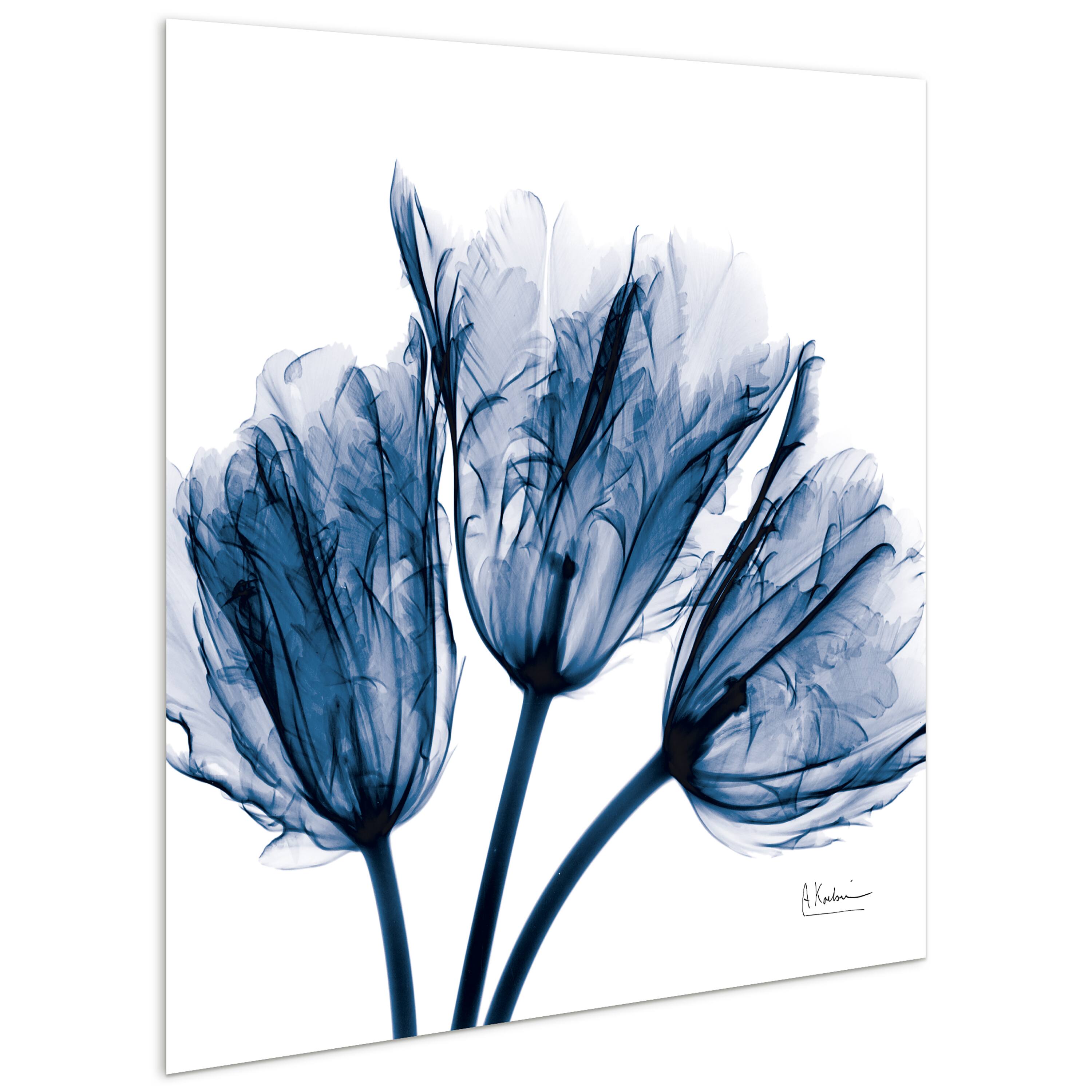 Empire Art Direct 24" x 24" Blue Tulip X-Ray Frameless Free Floating Printed Tempered Glass Wall Art