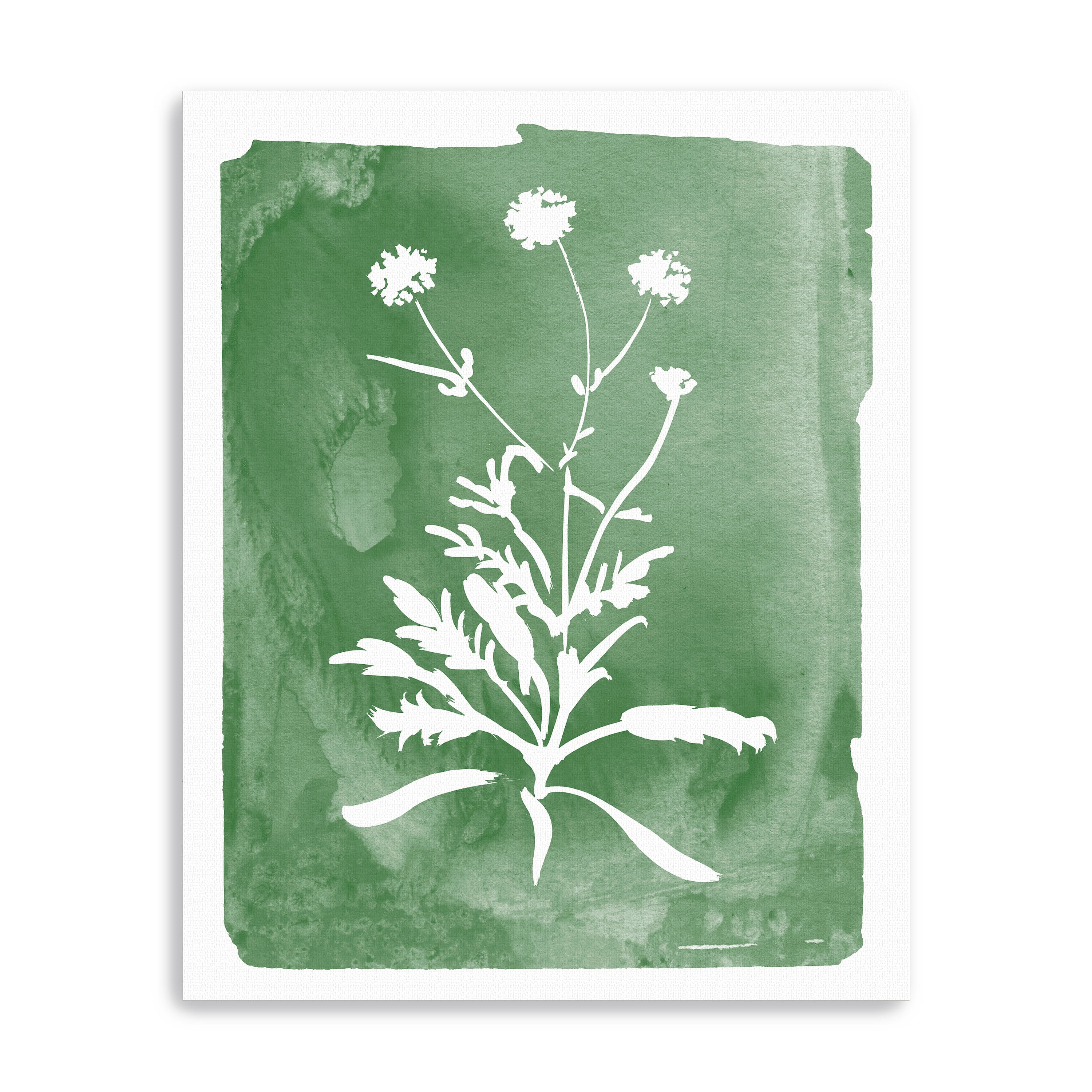 Green Botanical I Canvas Giclee