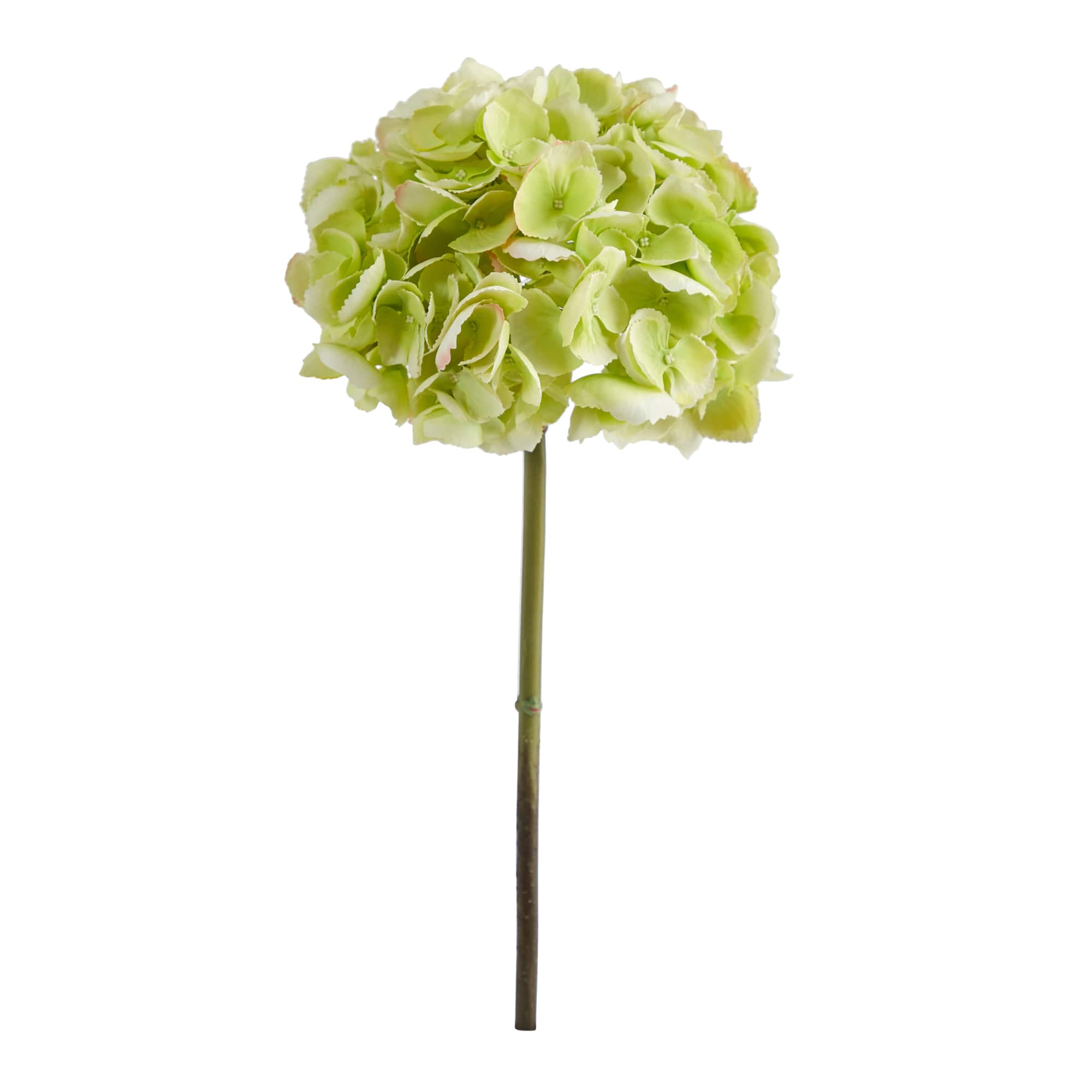 Hydrangea Flower Stem, 3ct.