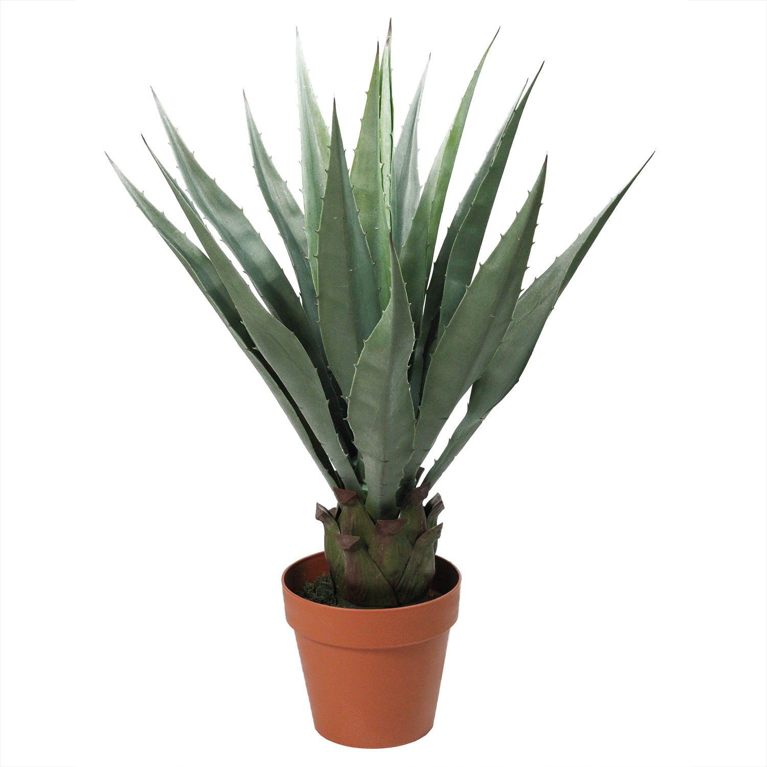 31.5" Potted Artificial Green Agave Americana Succulent