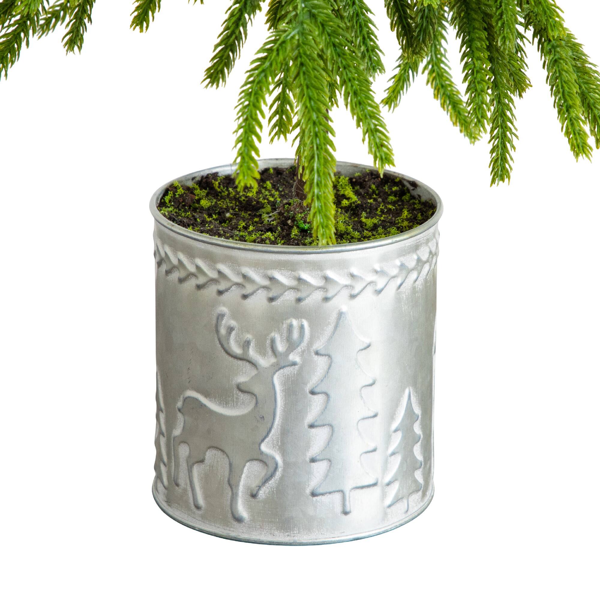 20" Real Touch Down Swept Norfolk Island Pine Artificial Christmas Tree in Metal Planter
