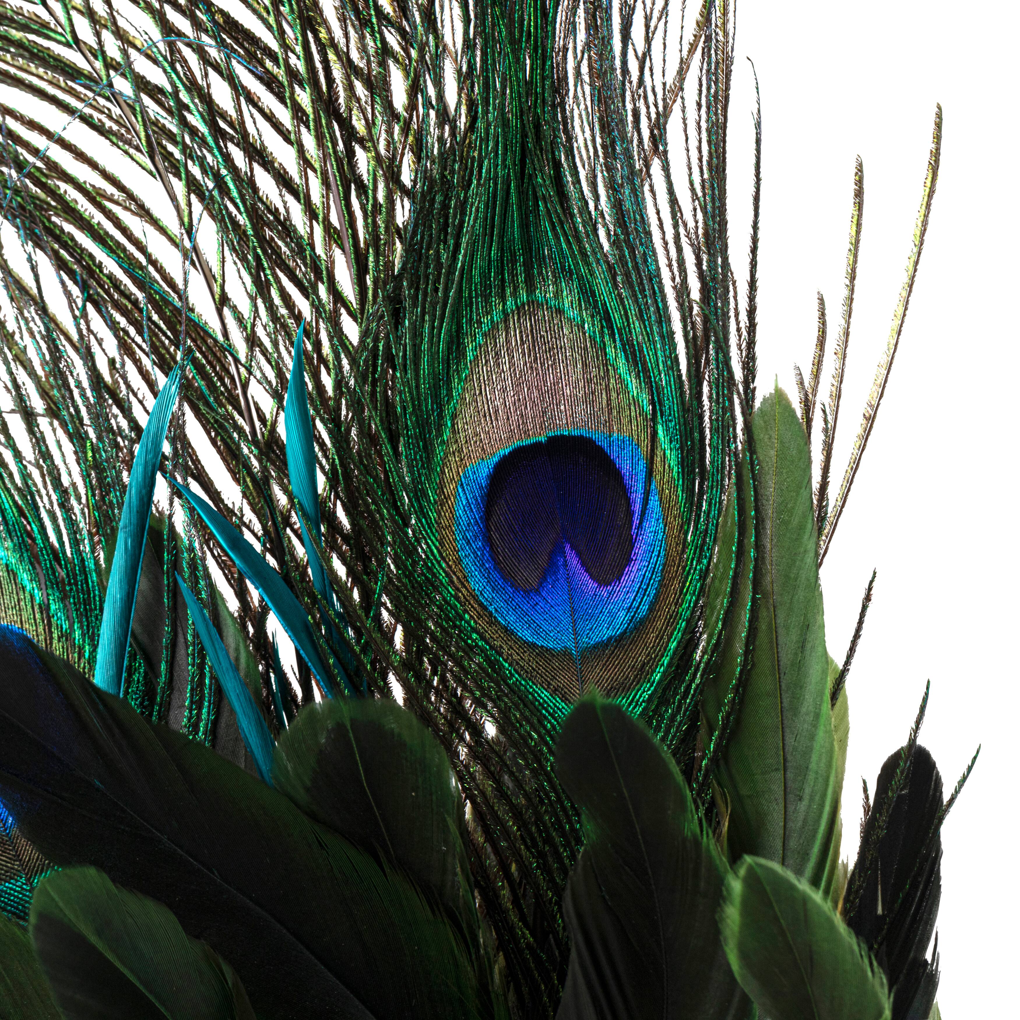 35" Peacock Feather Pick by Ashland®
