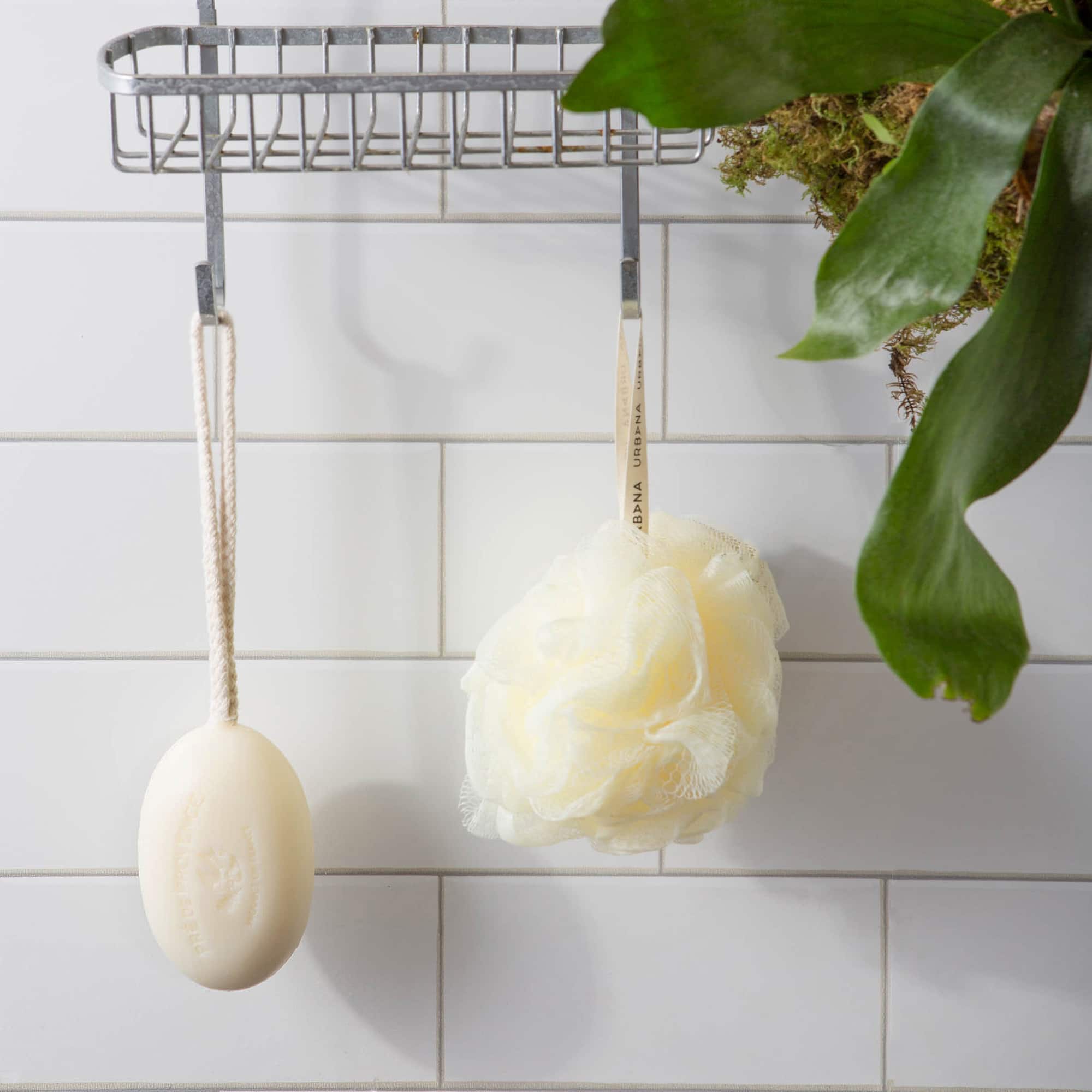 European Soaps Soap on a Rope