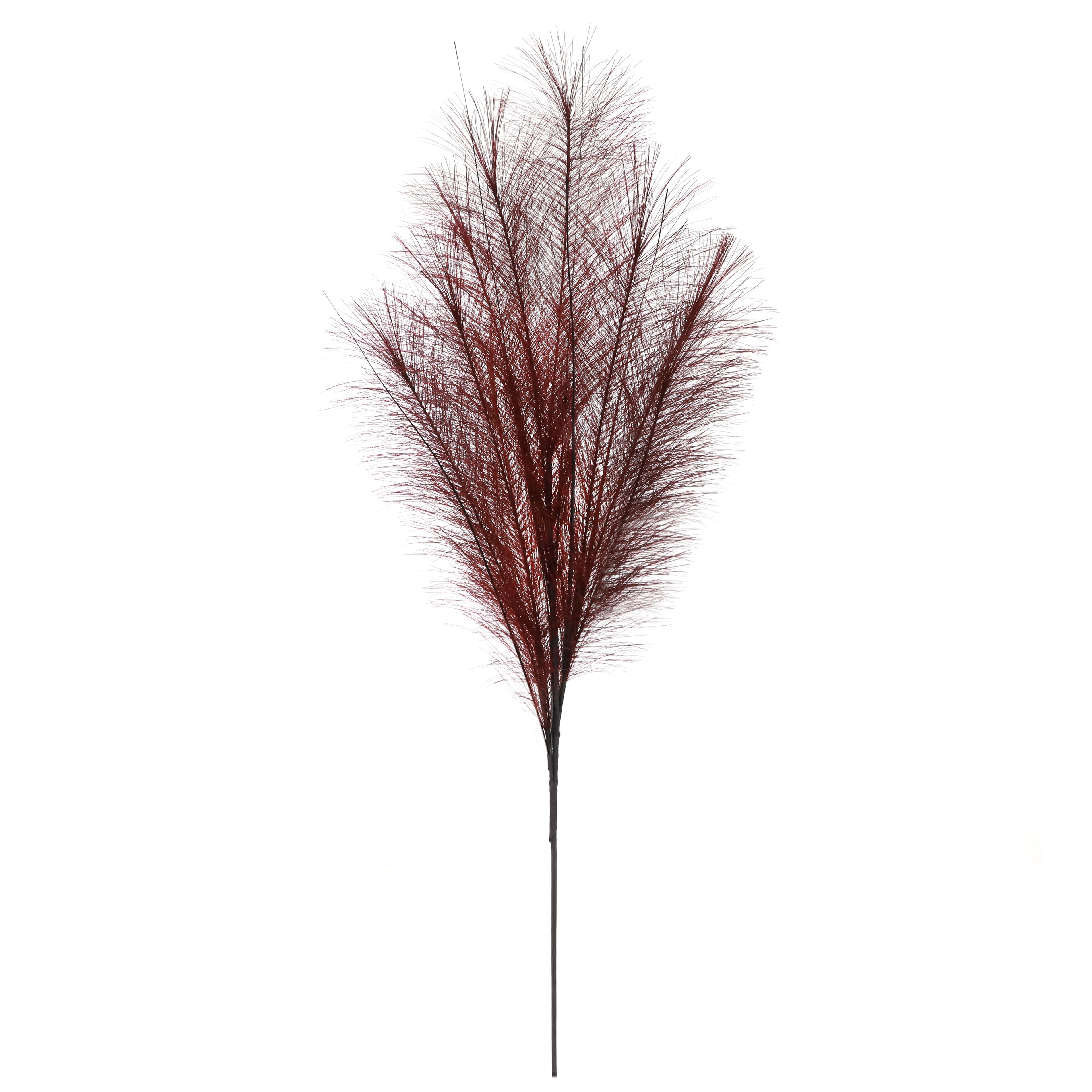39.5" Burgundy Pampas Grass Stem by Ashland®