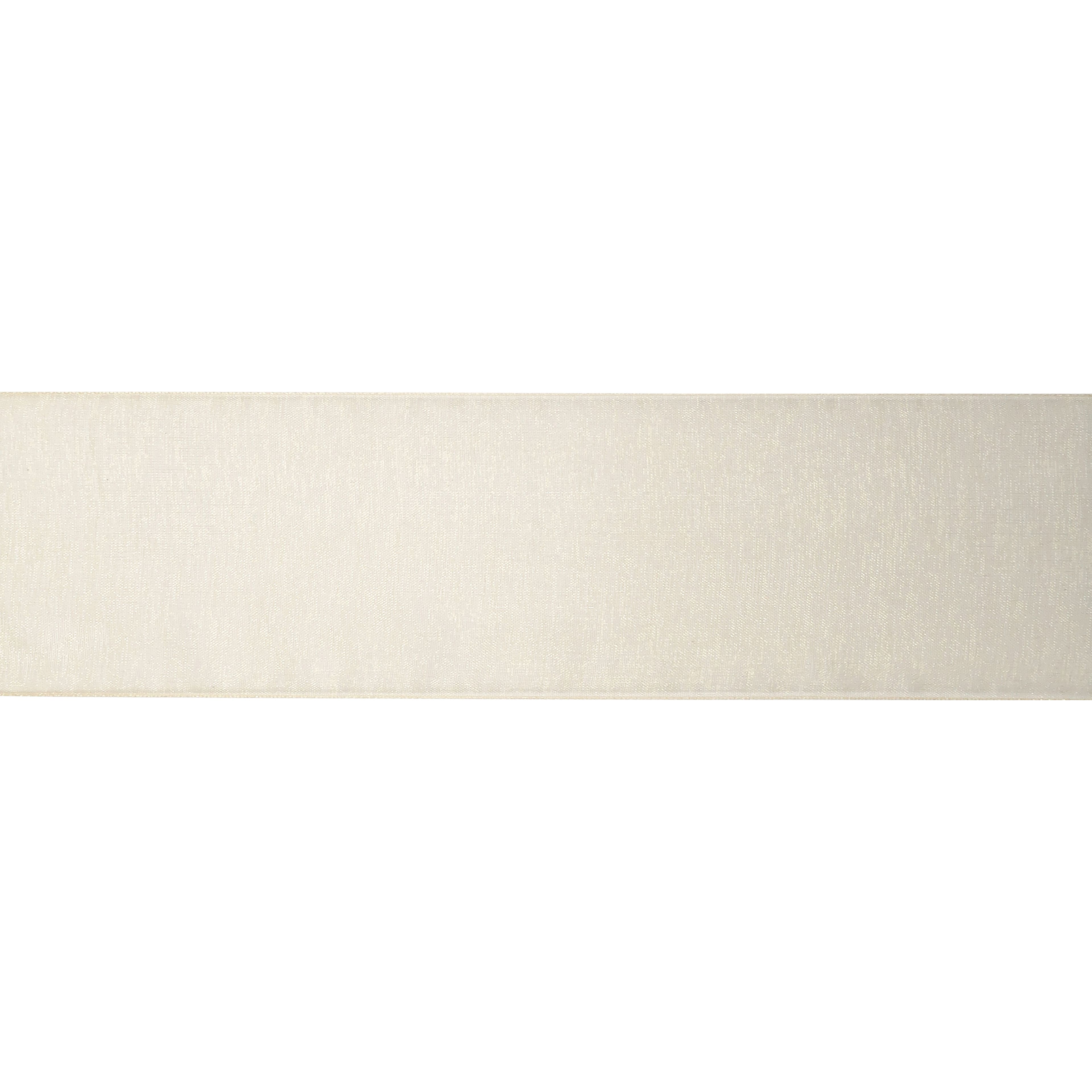 2.5" x 10yd. Sheer Ribbon by Celebrate It® Specialty