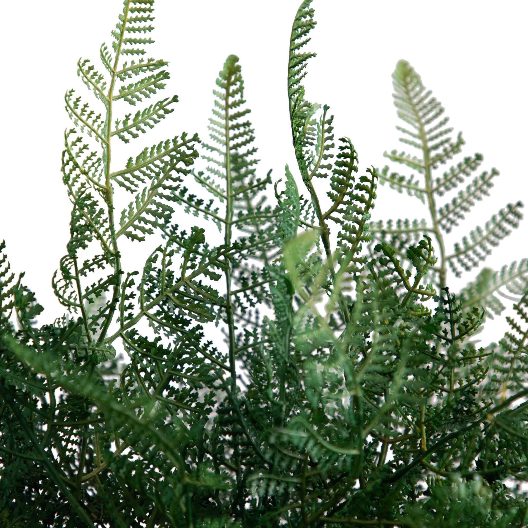 17" Forest Fern Arrangement in Glass Vase