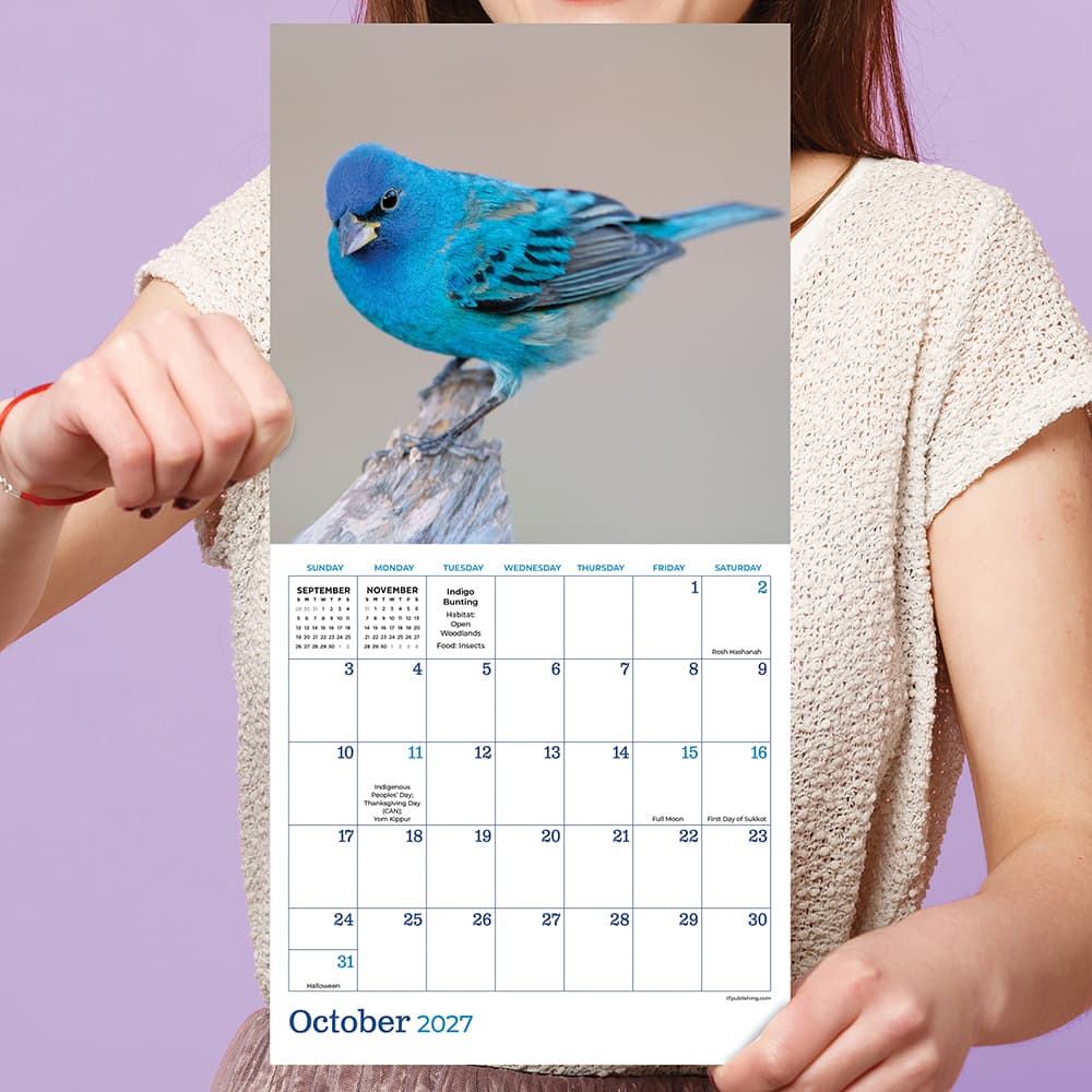 2027 Backyard Birds Mini Calendar