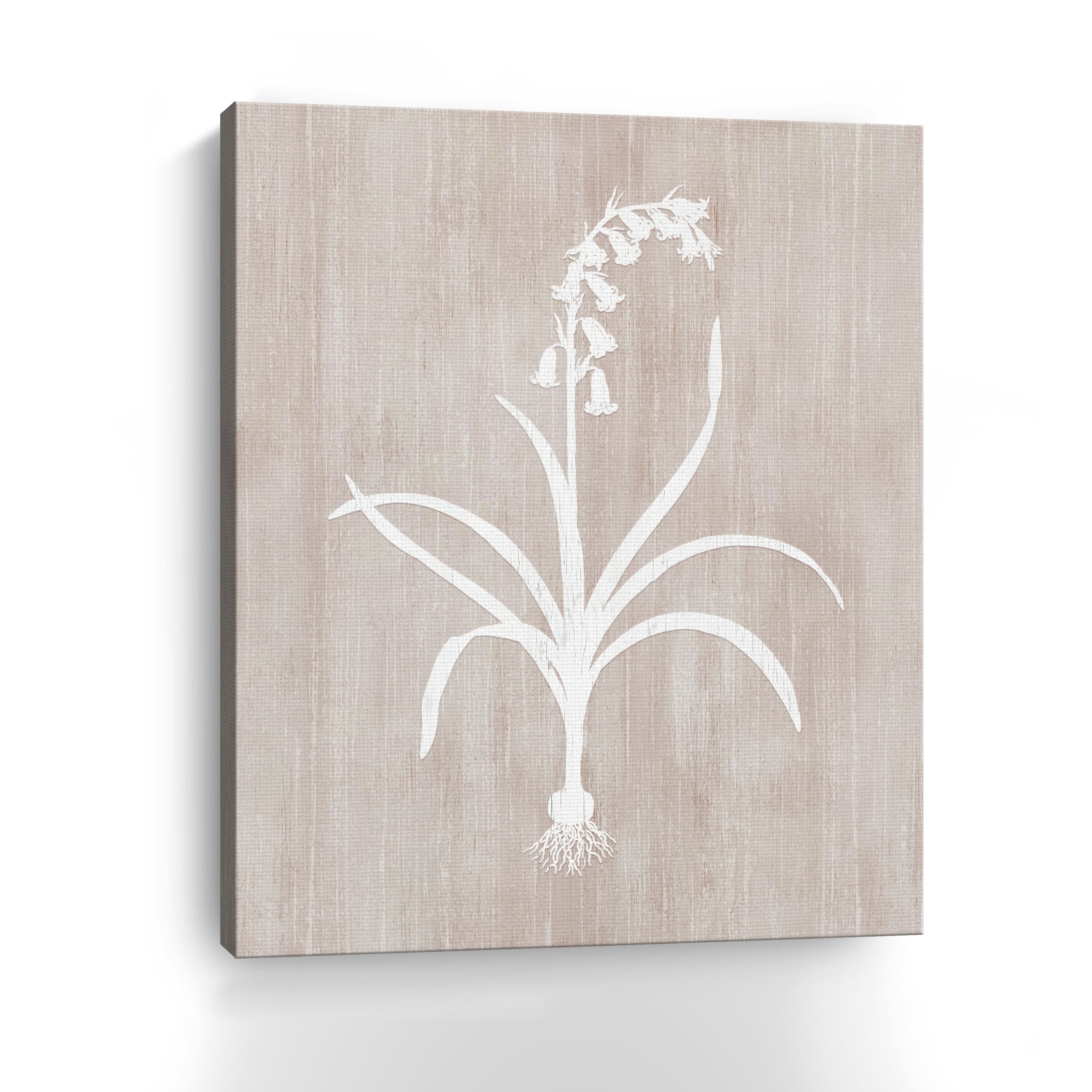 Botany Beauty I Canvas Giclee