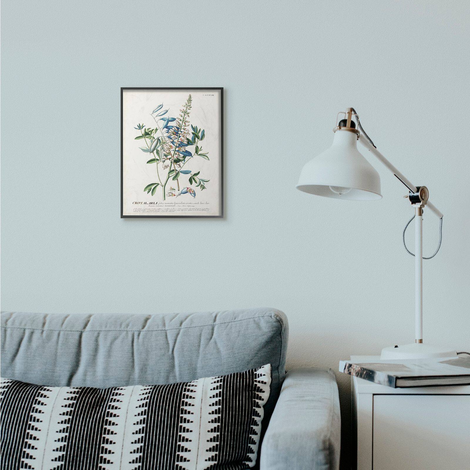 Stupell Industries Botanical Plant Illustration Wall Art in Black Frame