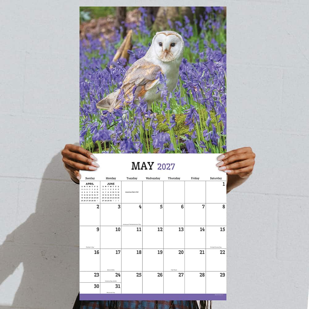 2027 Owls Wall Calendar