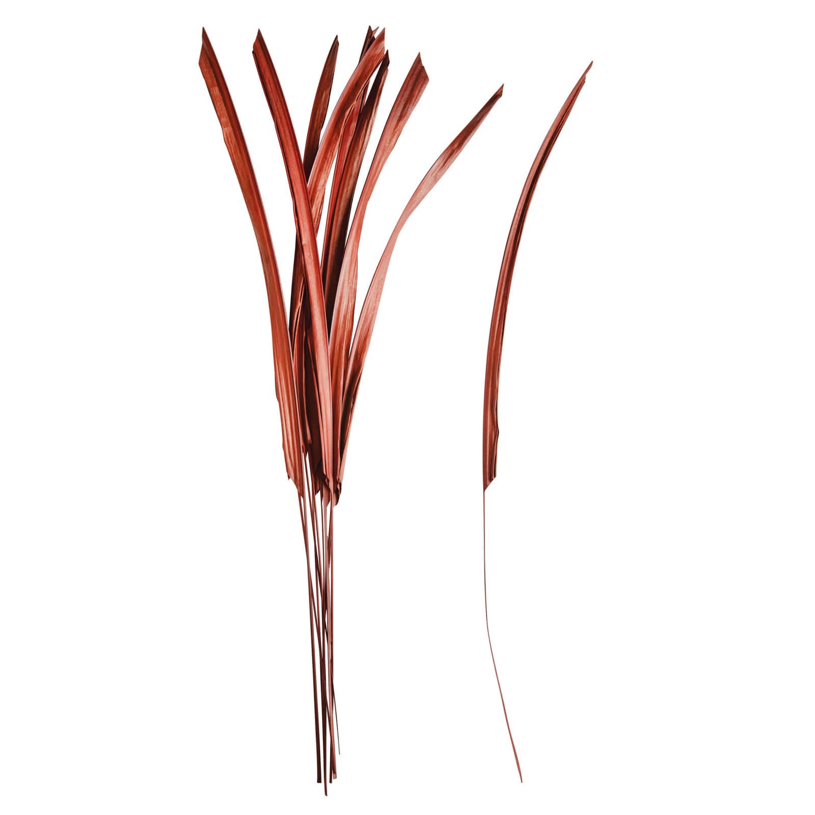 Hello Honey® 36" Brown Buri Palm Leaf Pick