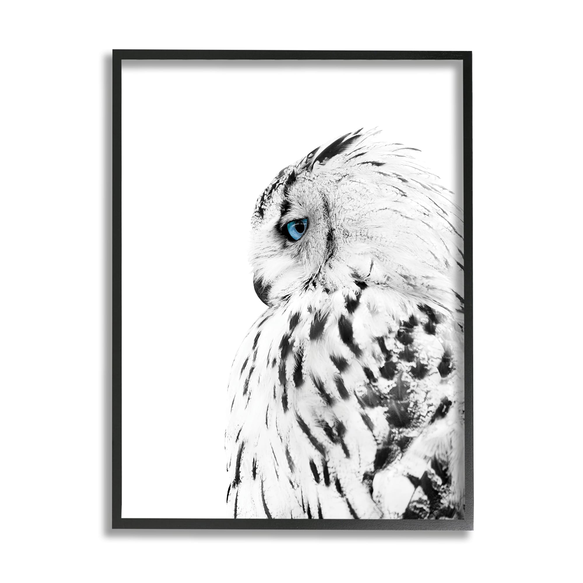 Stupell Industries Snow Owl White Feathers Peering Blue Eyes in Black Frame Wall Art