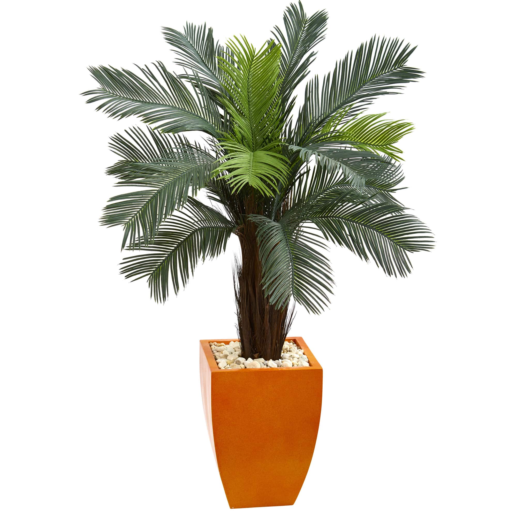 4.5ft. Cycas Tree in Orange Planter