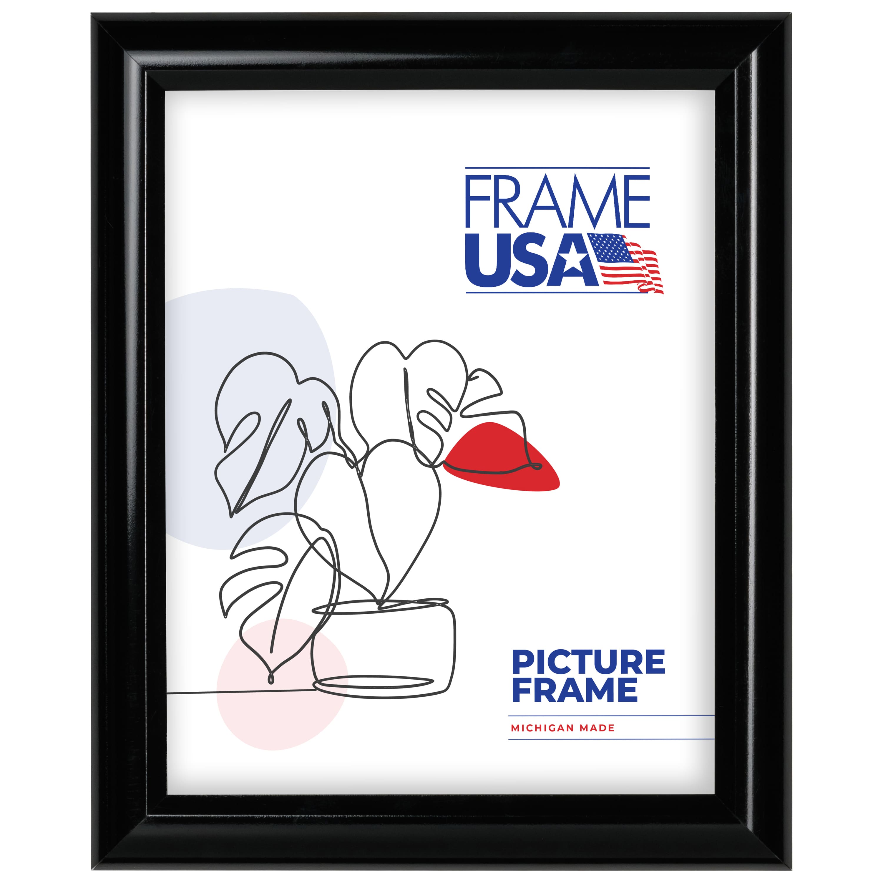 Frame USA Deluxe Poster Black Single Image Picture Frame