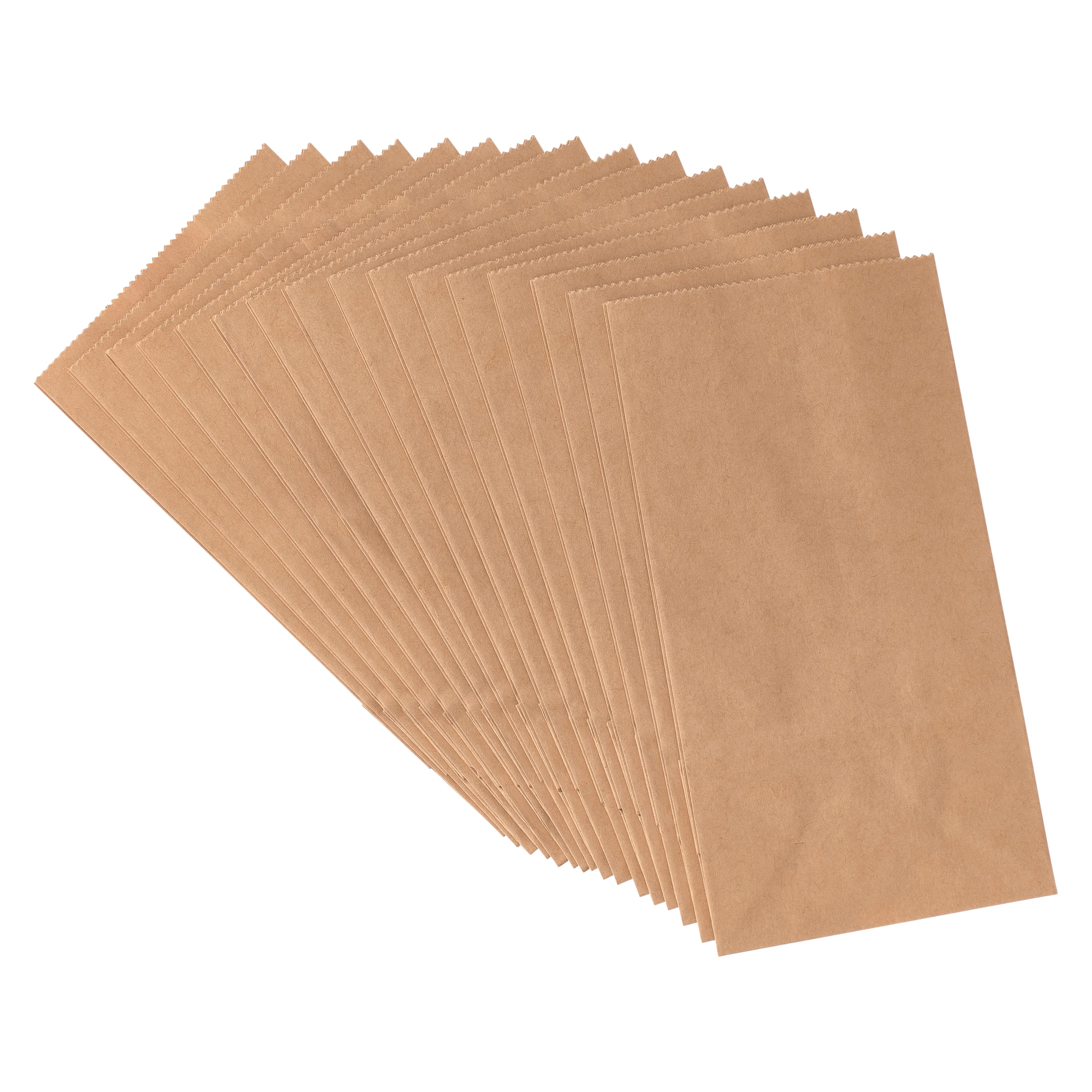 1lb. Treat Bags by Celebrate It™