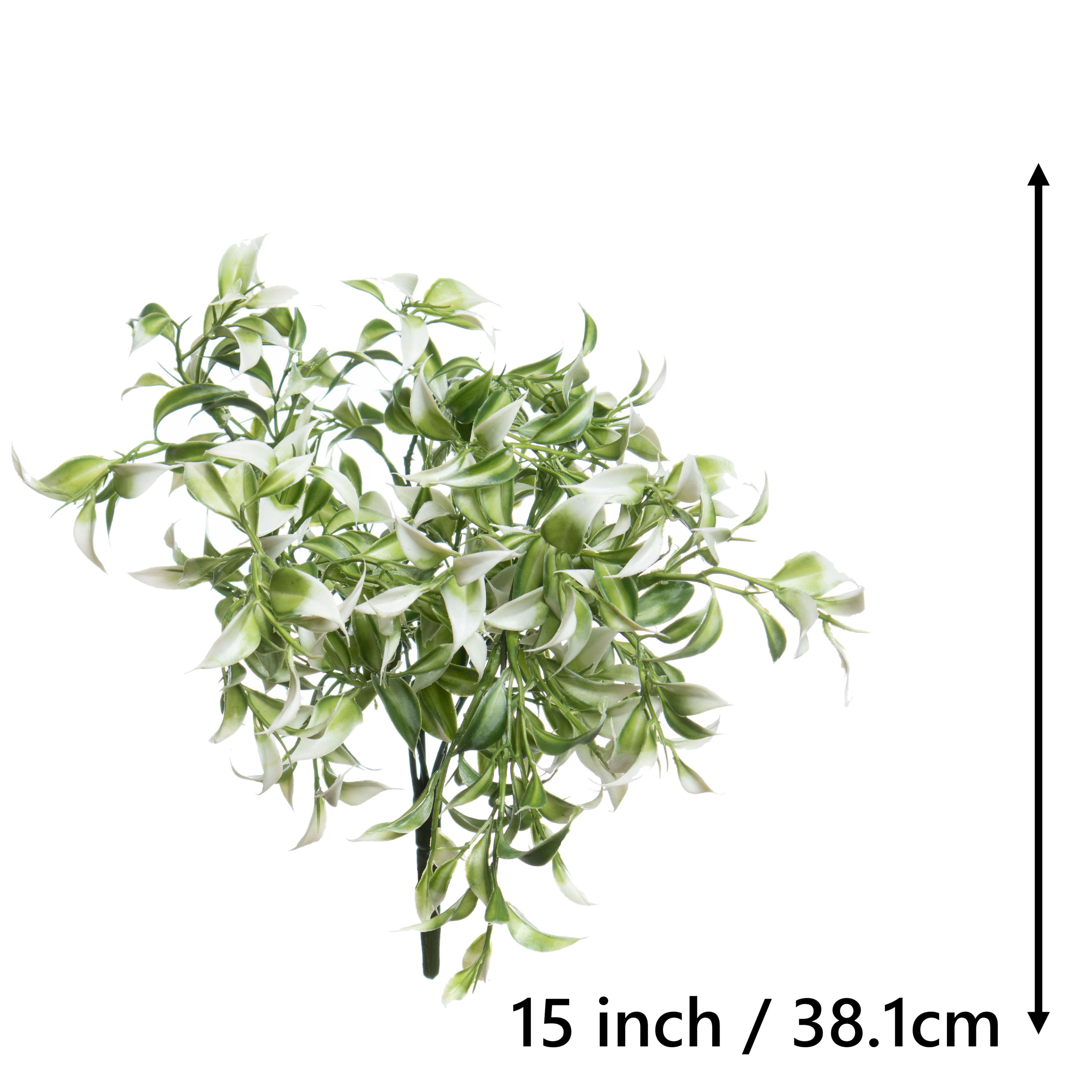 Gerbe de ruscus blancs de 33 cm d'Ashland