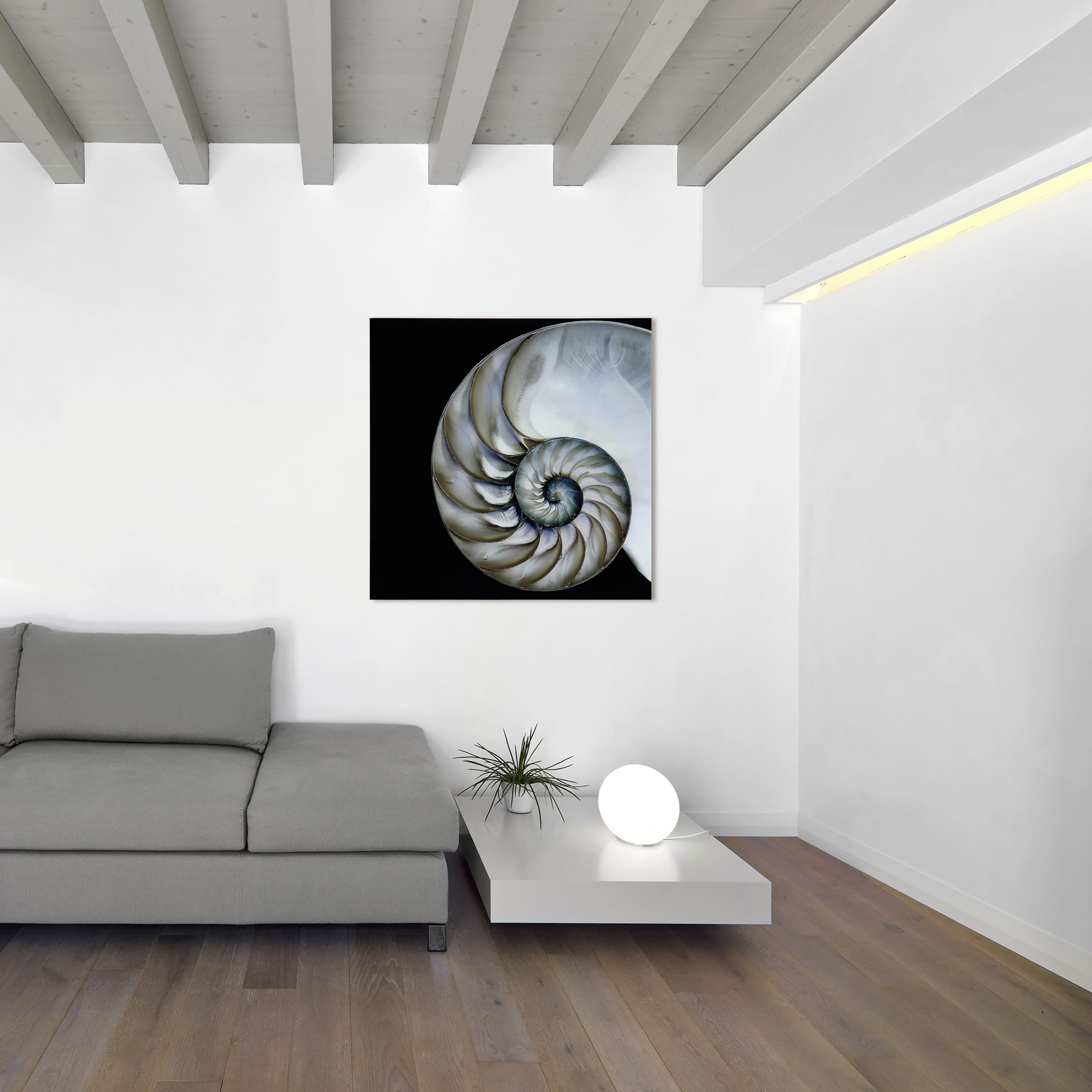 Empire Art Direct 36" x 36" Pearly Nautilus Free Floating Tempered Glass Wall Art