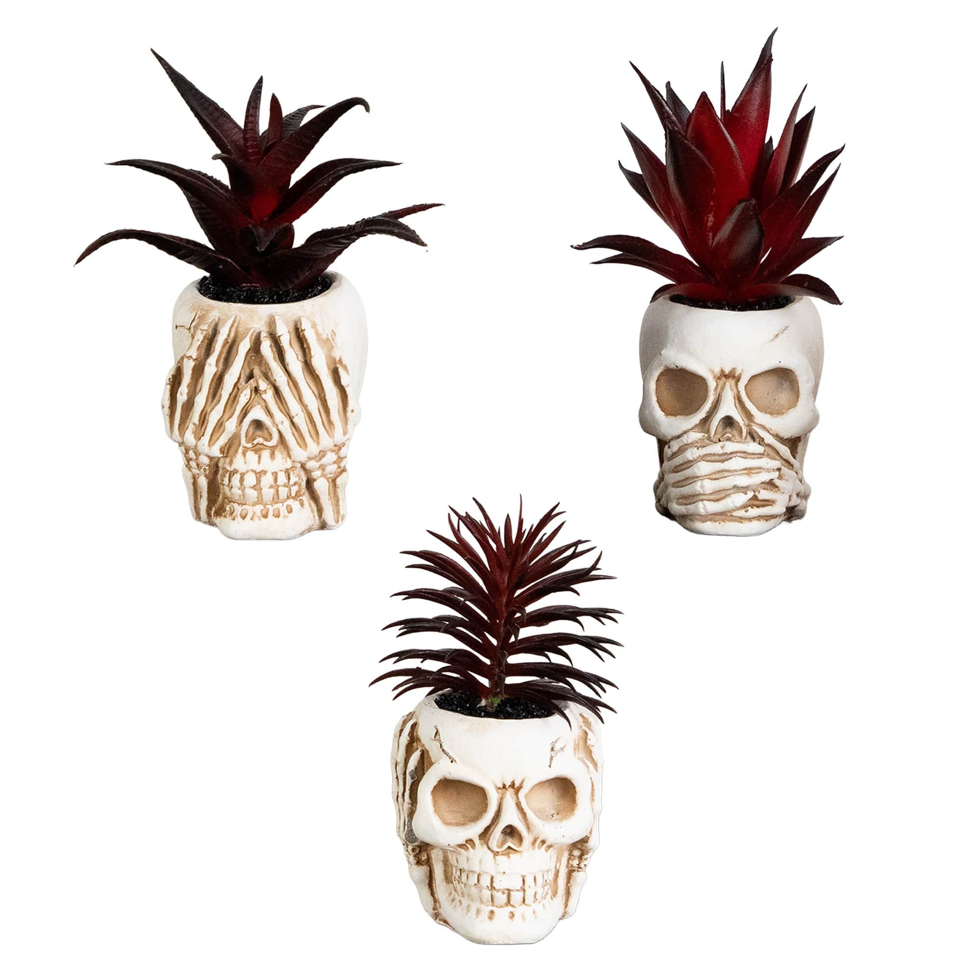 6" Artificial Halloween Speak, Hear, See No Evil Succulent Plant Skull Décor Set