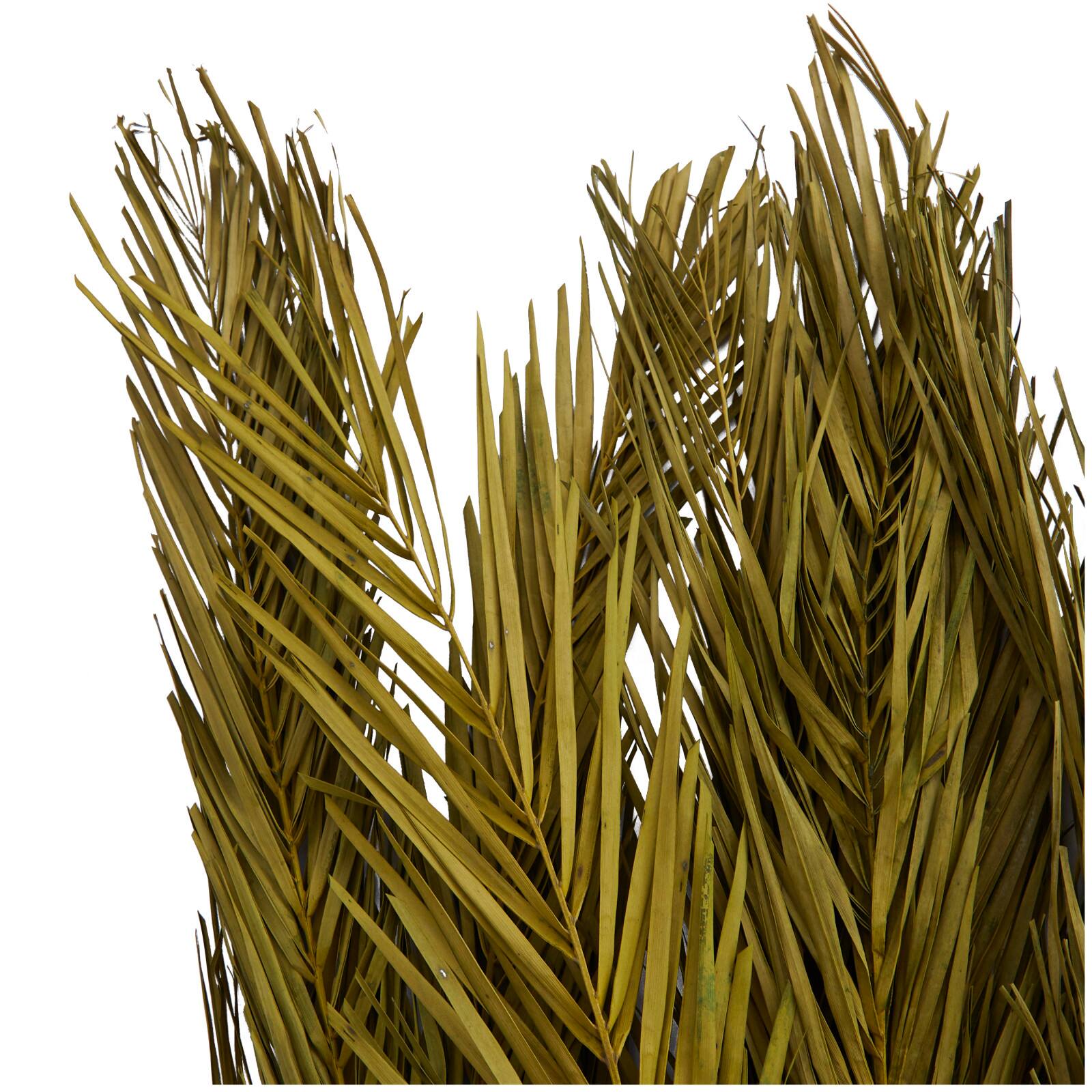43" Natural Dried Plant Palm Leaf Bunch with Feather-Inspired Stems