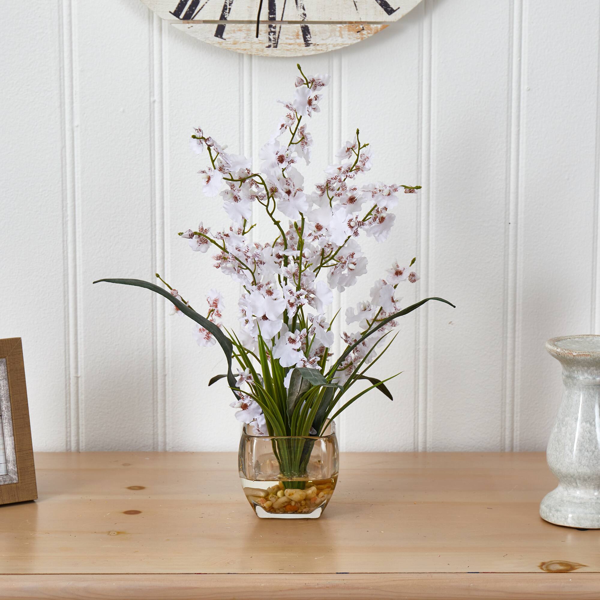 19" White Dancing Lady Orchid Arrangement in Vase