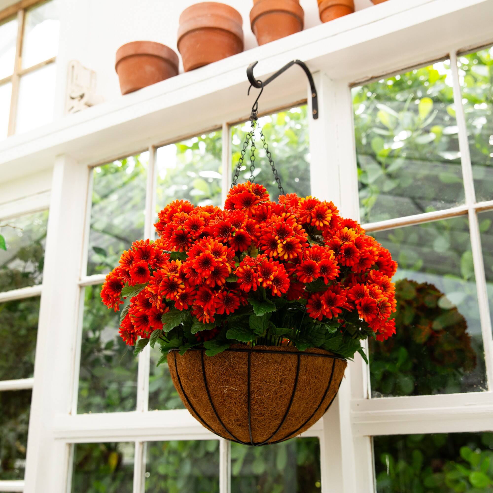 24in. UV Resistant Artificial Chrysanthemum Hanging Basket (Indoor