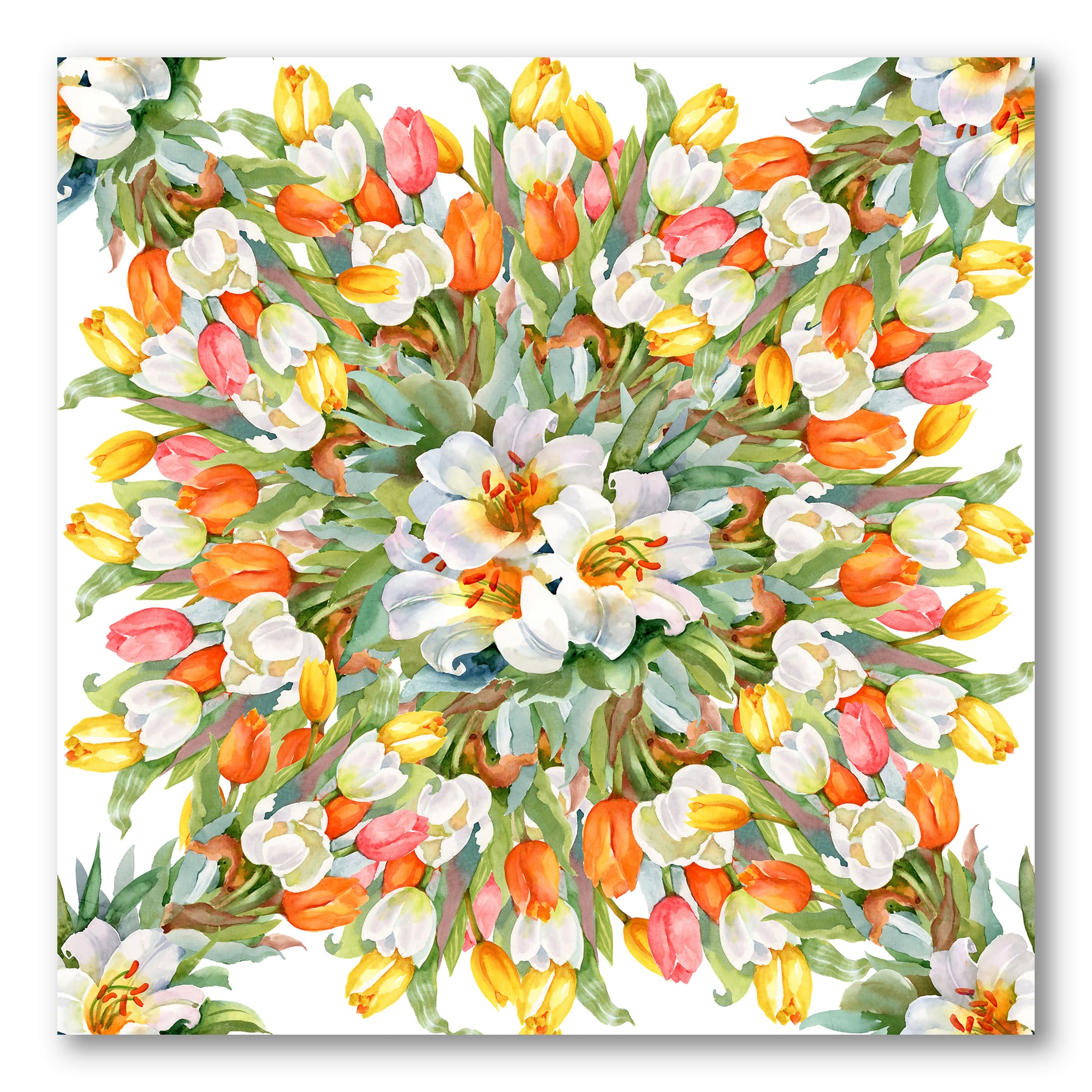 Designart - Blooming White and Orange Tulips II