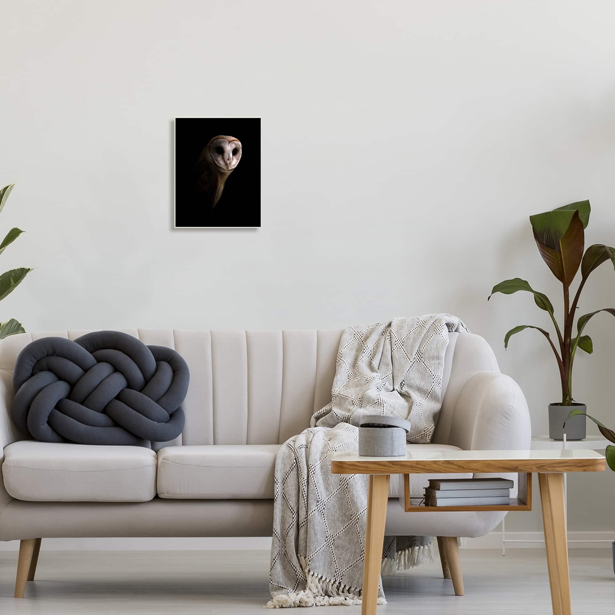 Stupell Industries Intense Barn Owl Black Shadow Photography Wall Plaque Art