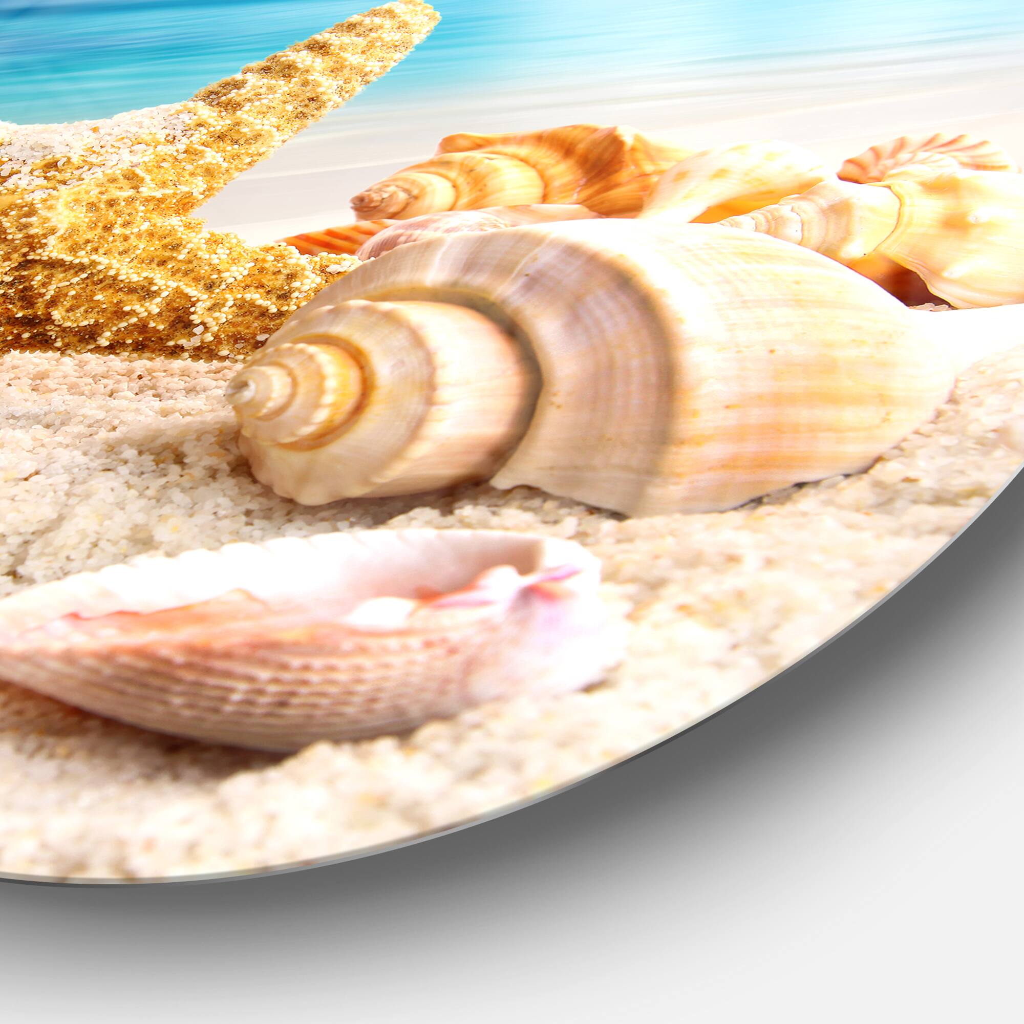 Designart - Starfish and Seashells on Beach' Seashore Photo Metal Circle Wall Art