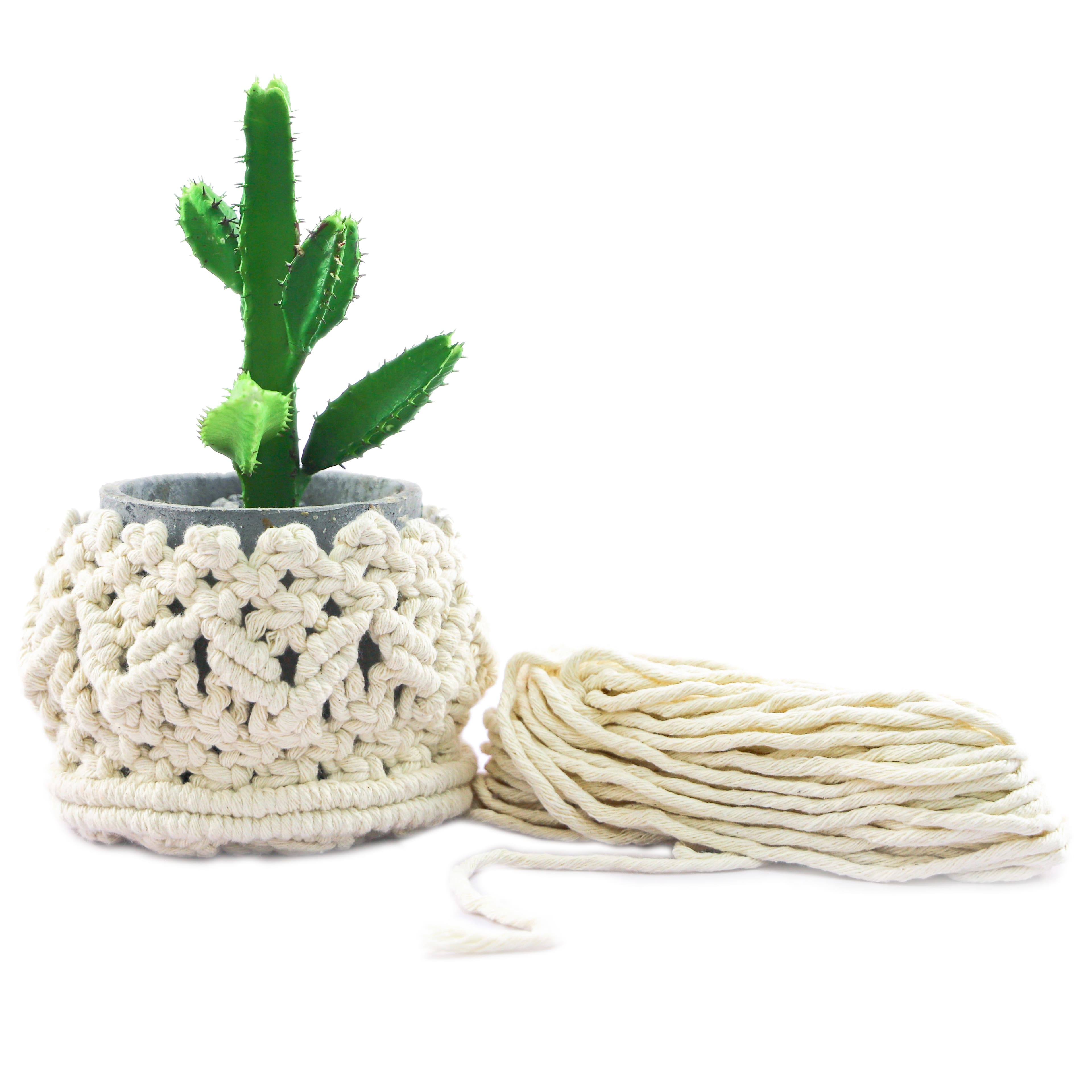 Macramé Planter Kit by Loops & Threads®