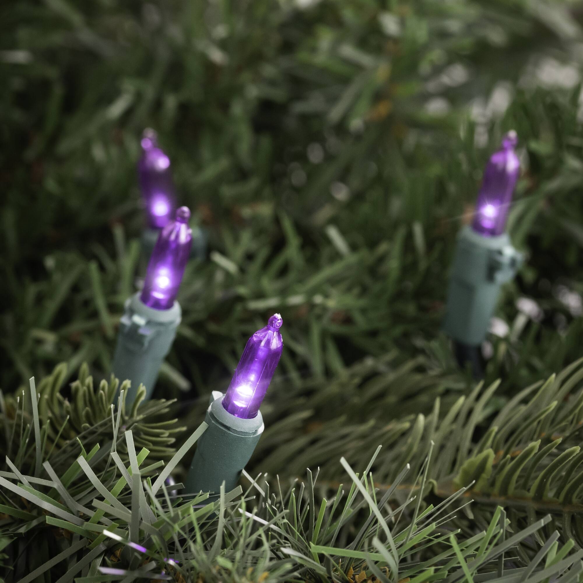 100ct. LED Mini Christmas Lights With Green Wire