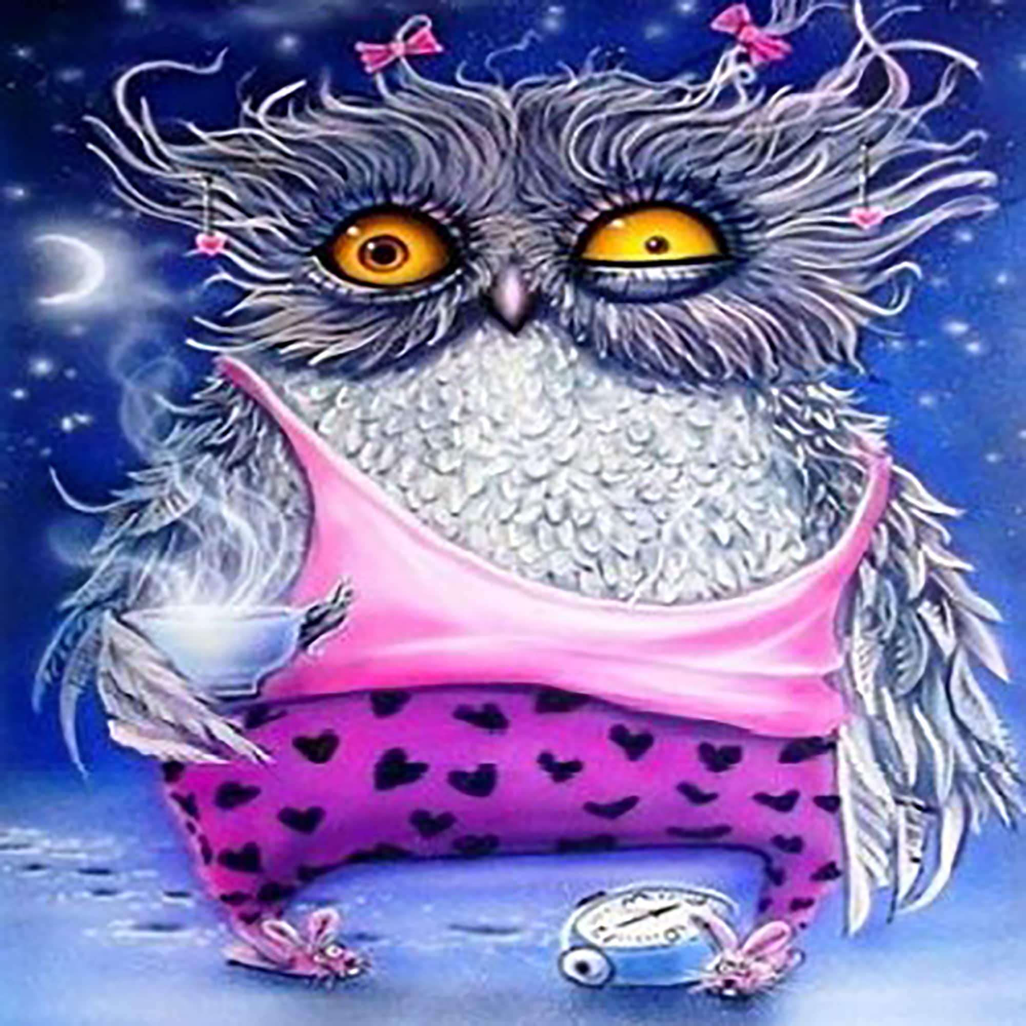 Sparkly Selections Pajama Owl Diamond Painting Kit