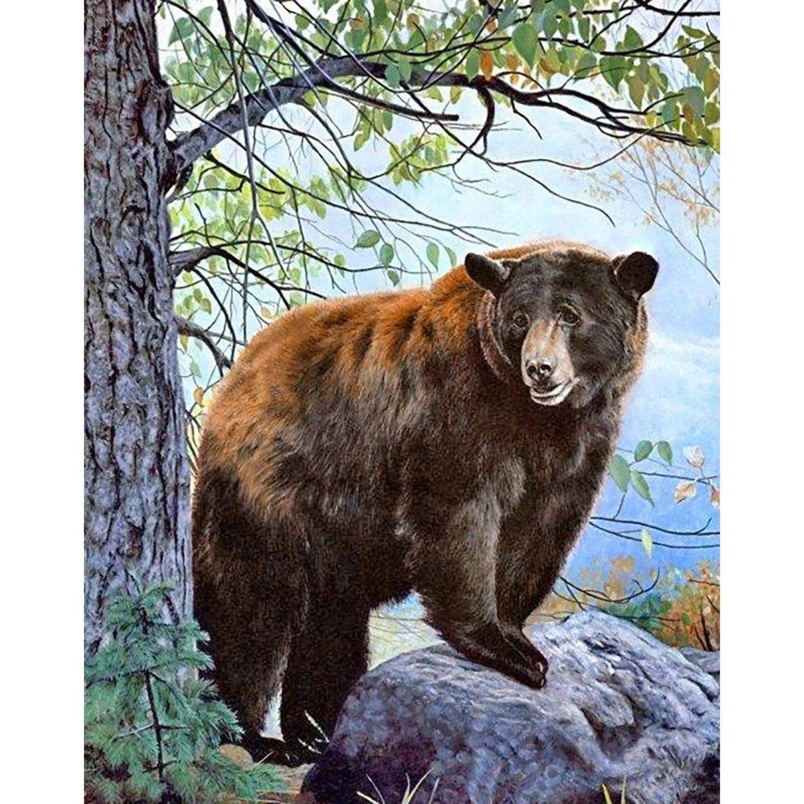 Wizardi Brown Bear Diamond Painting Kit