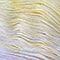 Soft Ombre™ Yarn by Loops & Threads®
