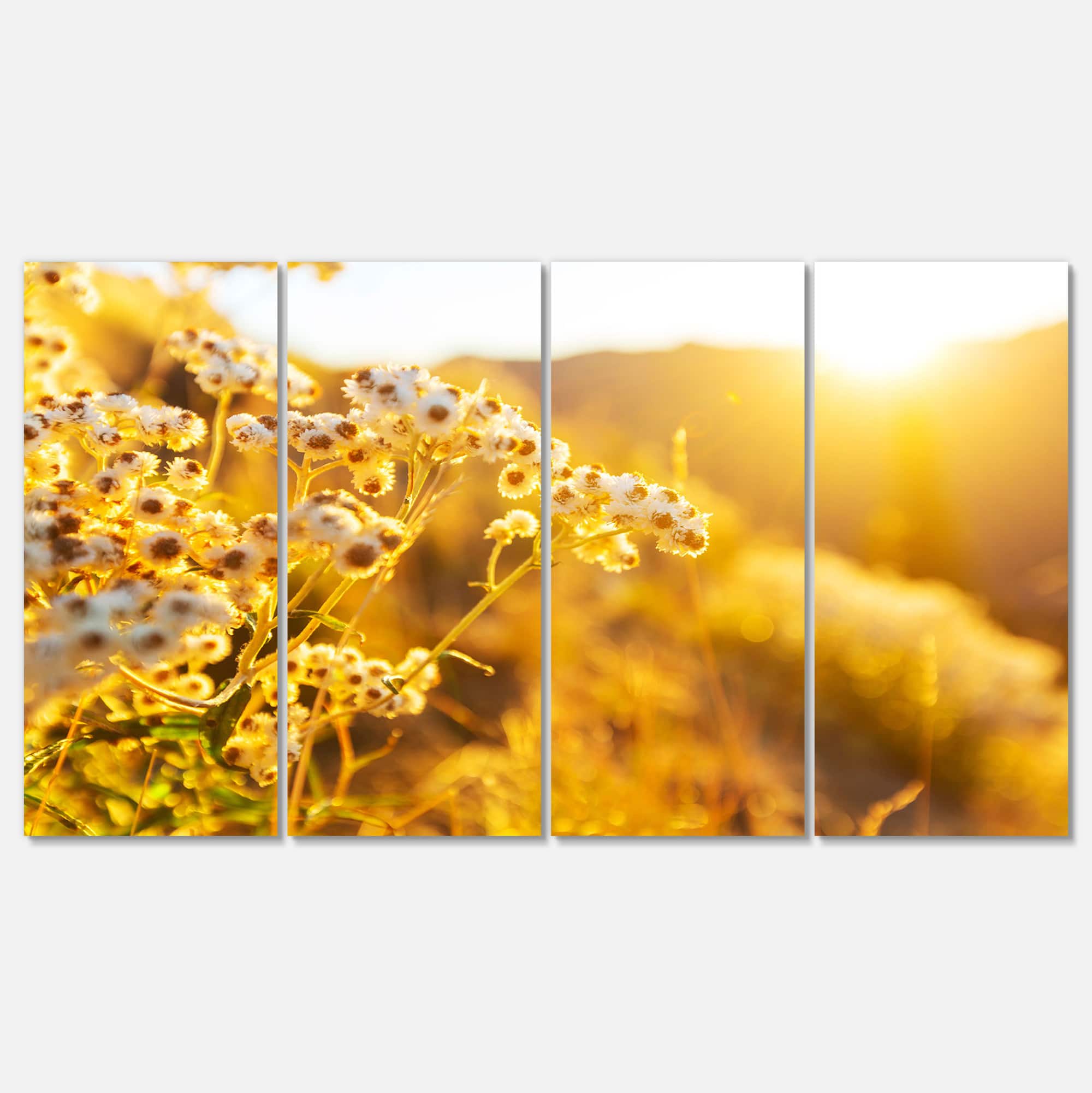 Designart - Bright Yellow Rural Garden Flowers
