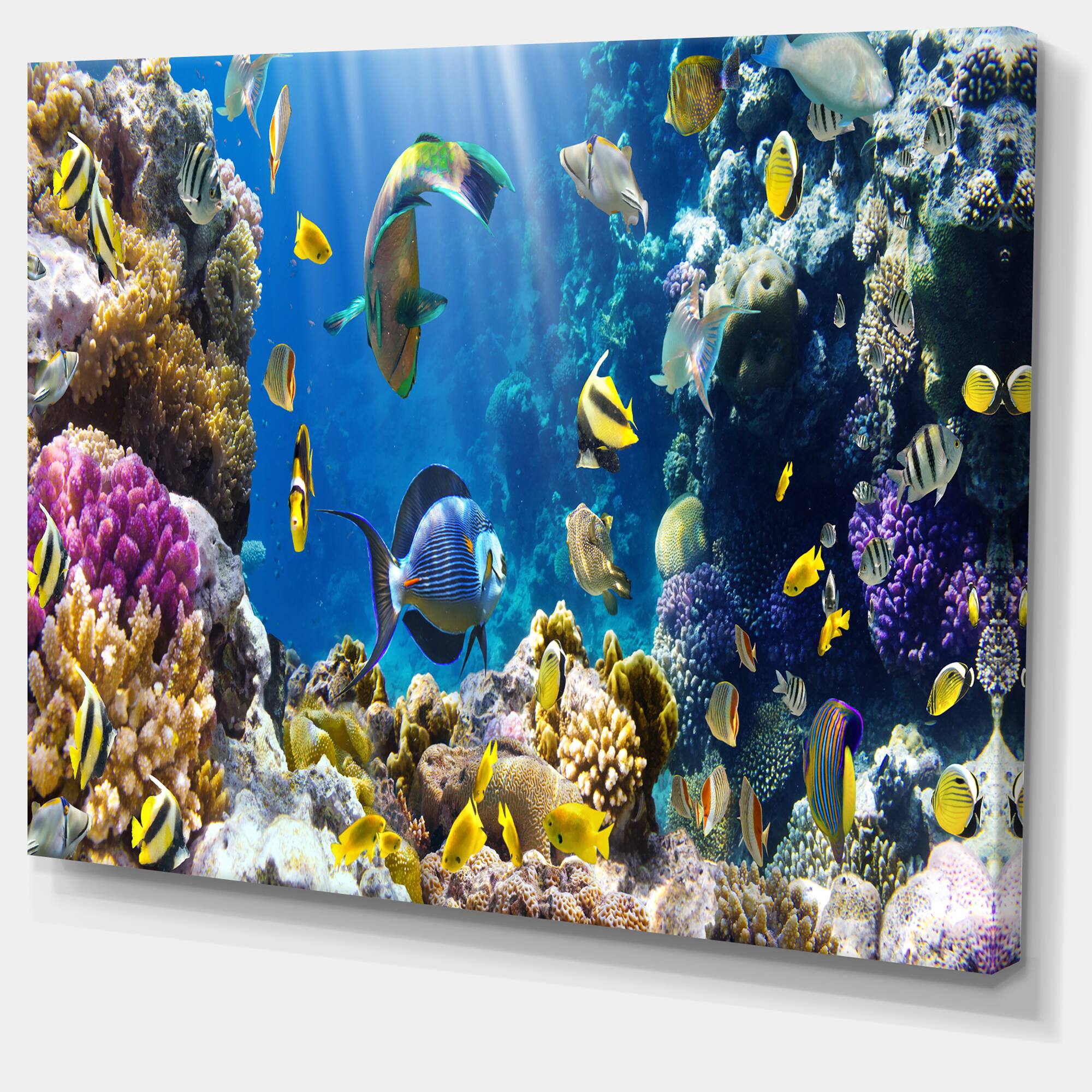 Designart - Fish in Coral Reef