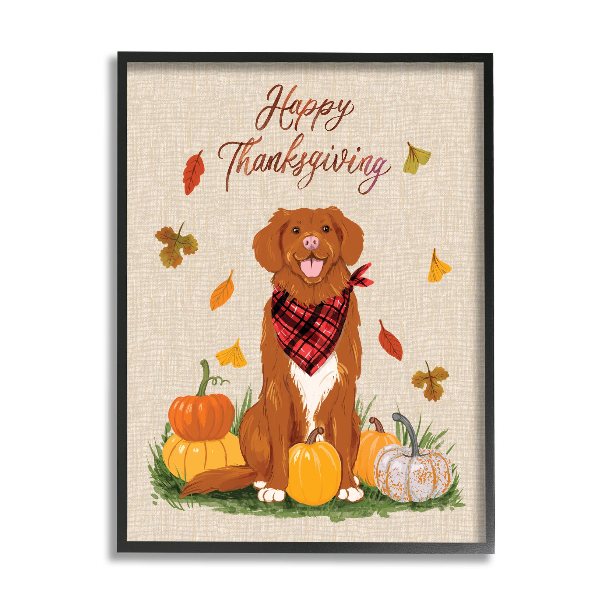 Stupell Industries Happy Thanksgiving Pumpkins Dog Framed Giclee Art