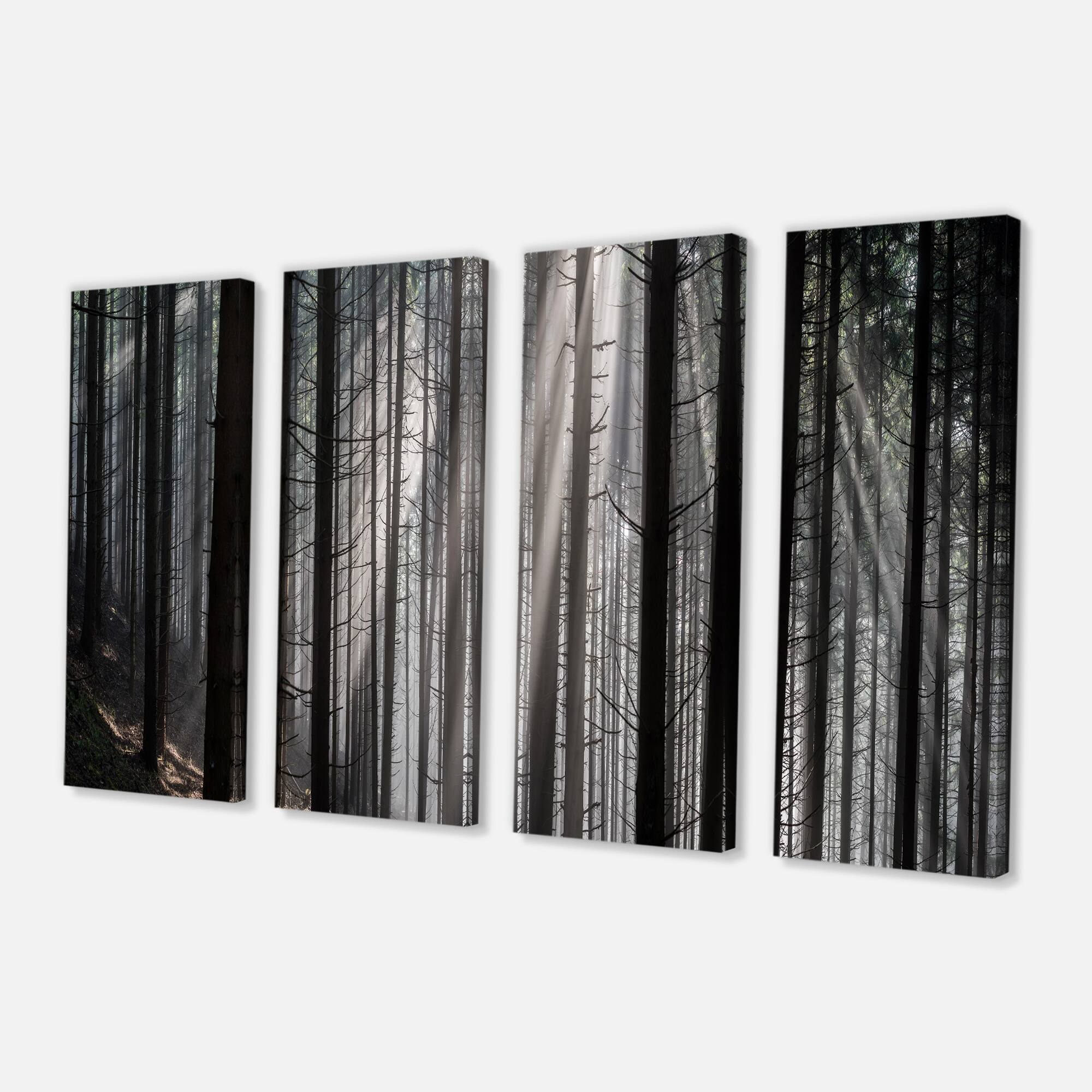 Designart - Sunbeams Peeking Through Dark Forest