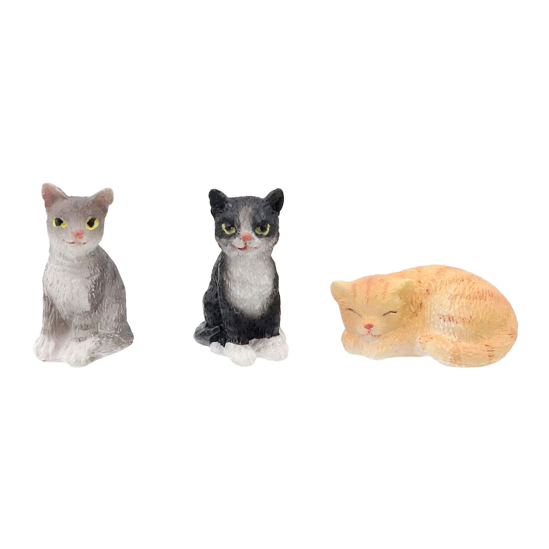 Mini Cats by Ashland®