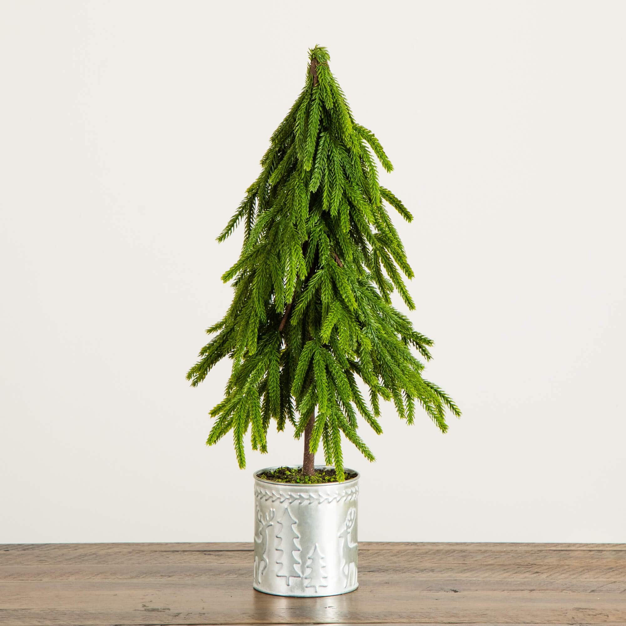 20" Real Touch Down Swept Norfolk Island Pine Artificial Christmas Tree in Metal Planter