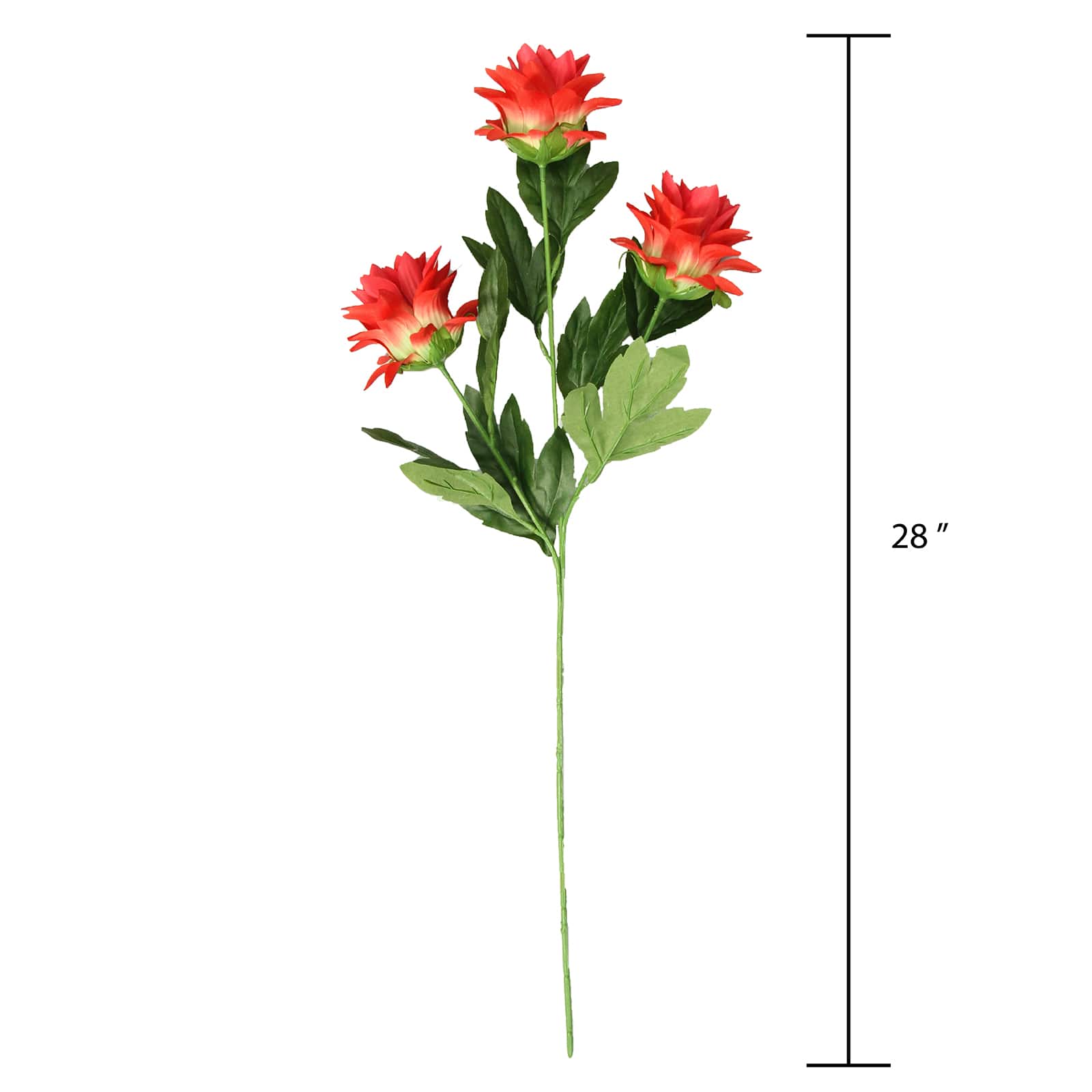 Red Hops Stem by Ashland®