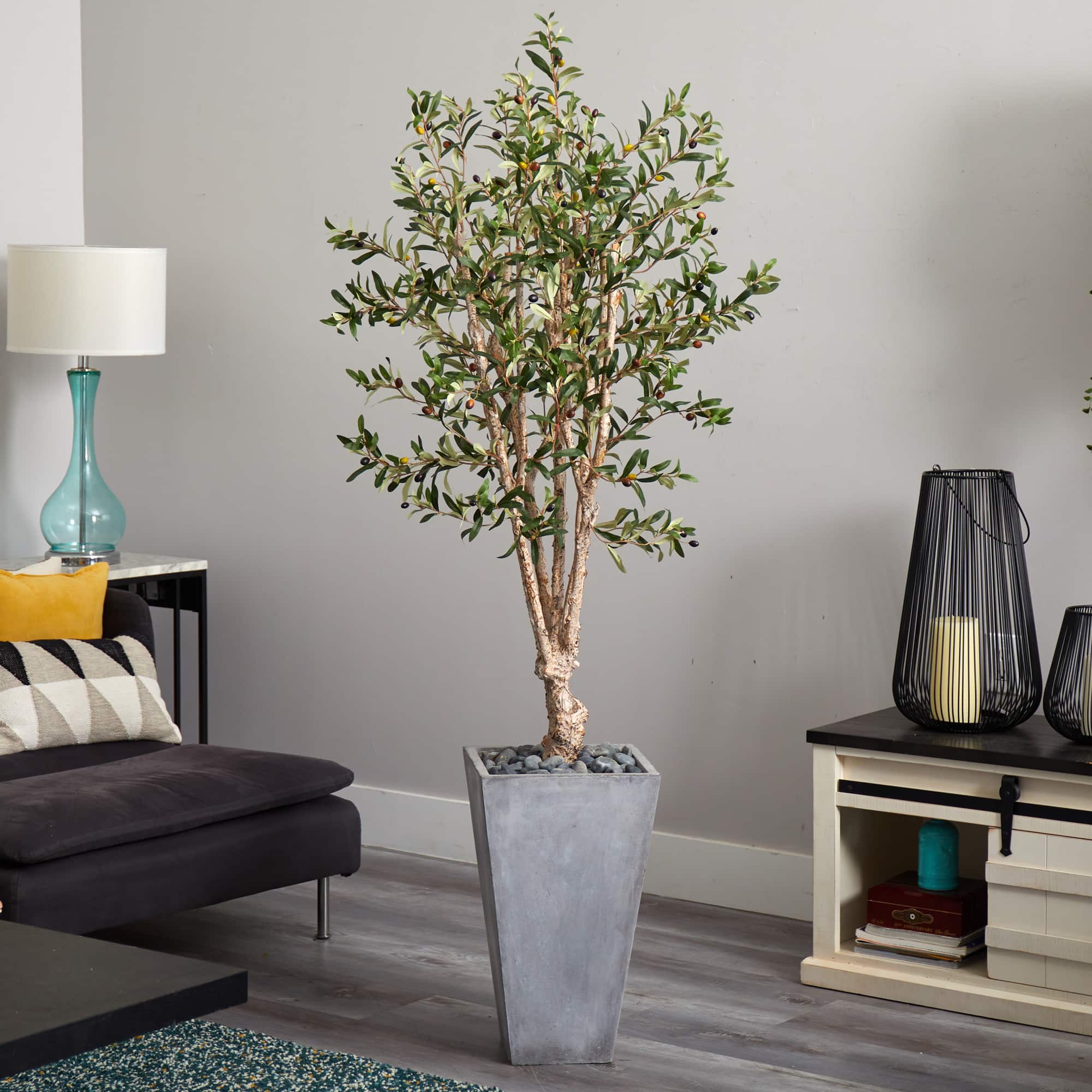 6ft. Olive Tree in Stone Planter