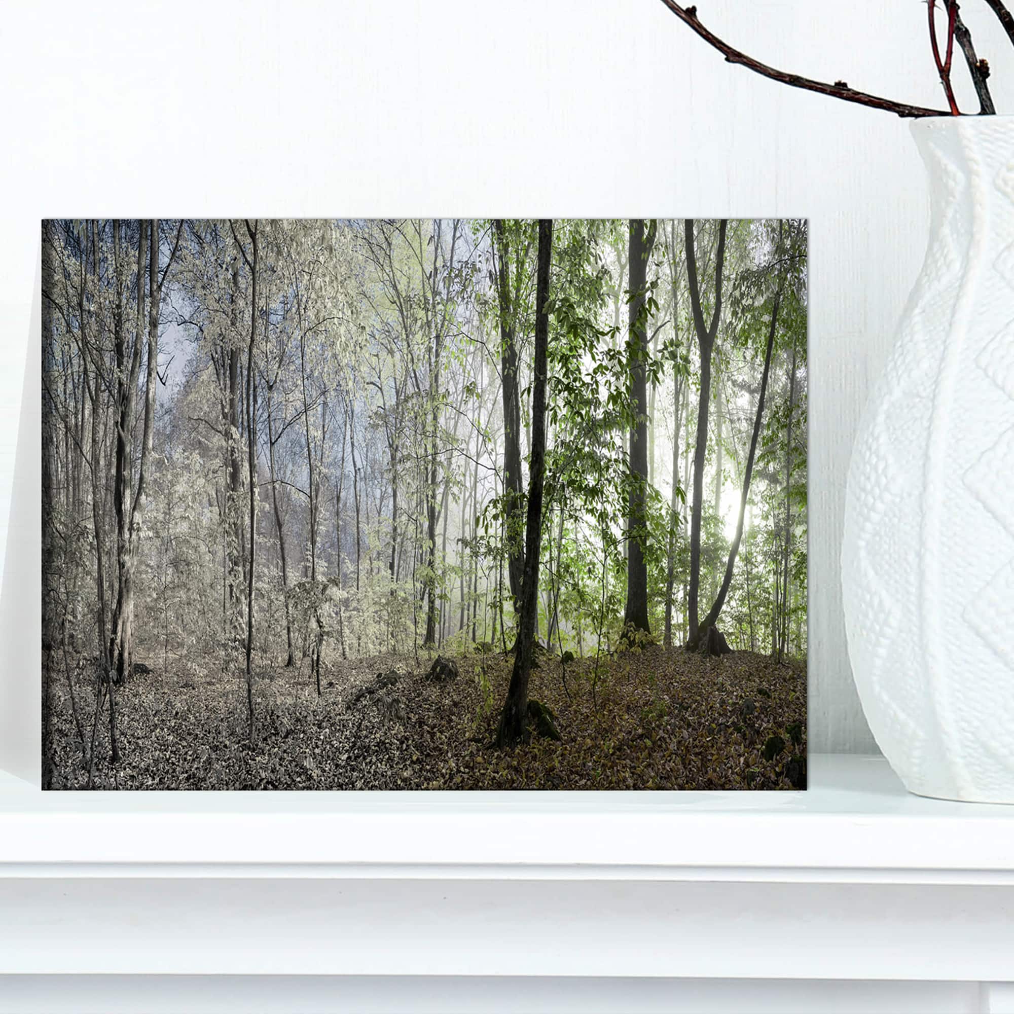Designart - Green Morning in Forest Panorama - Landscape Canvas Art Print