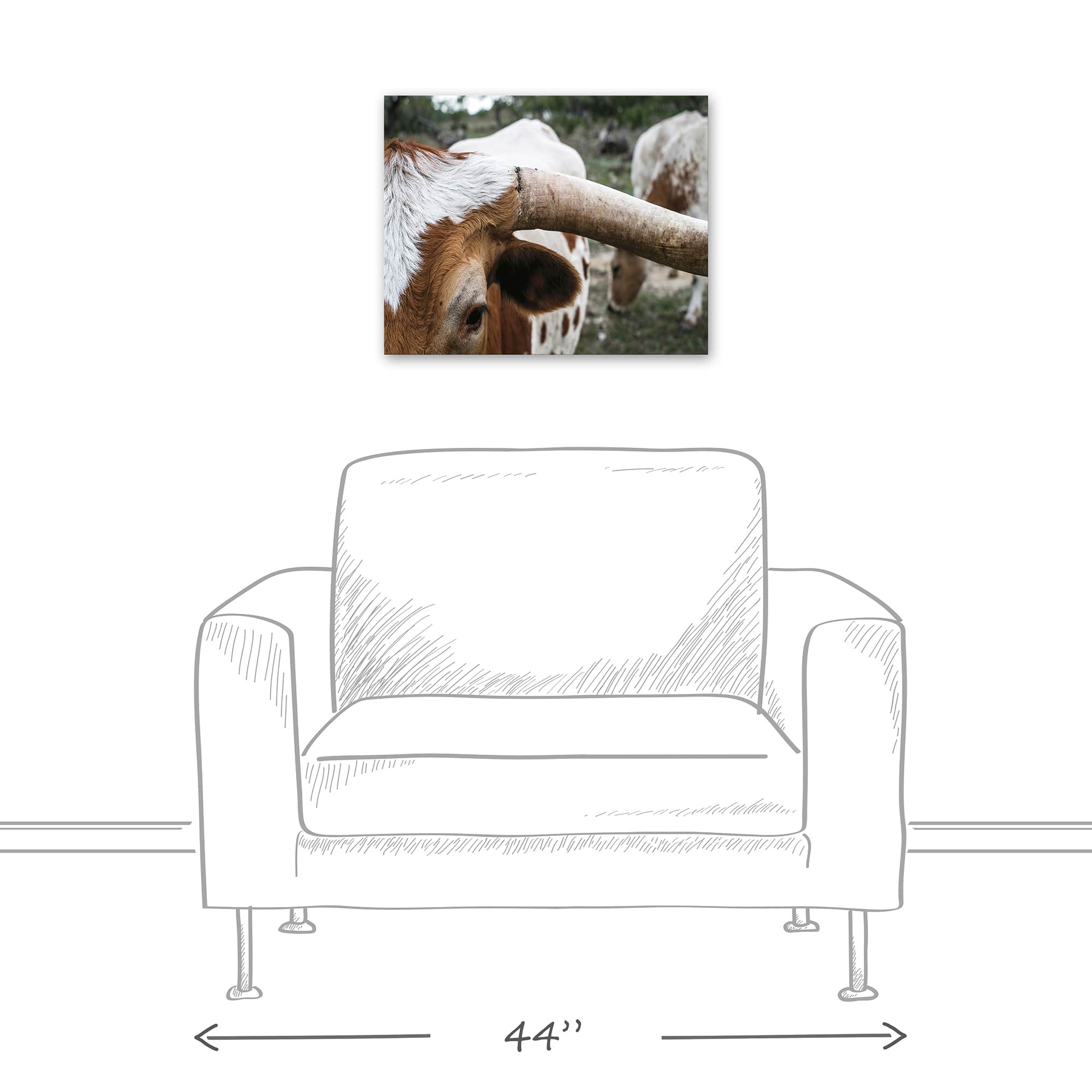 Close Up Highland 20" x 16" Canvas Wall Art